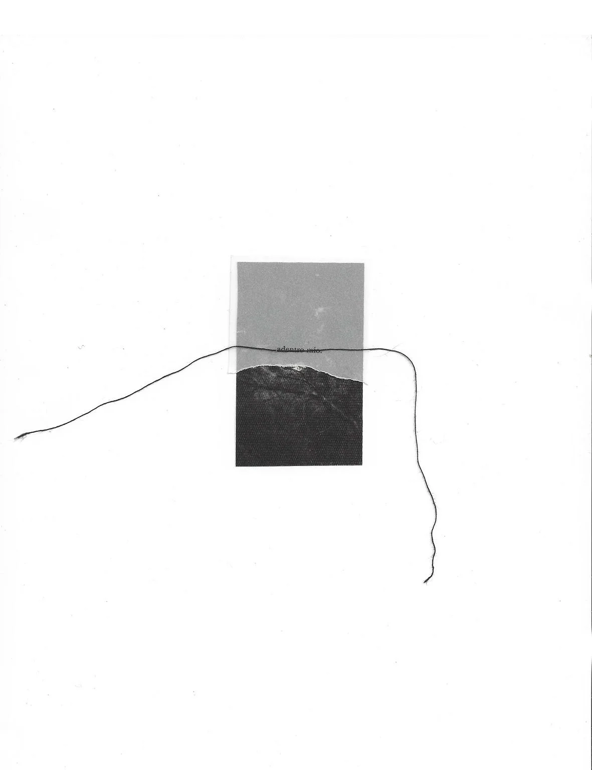00-cd29-web-11.jpg