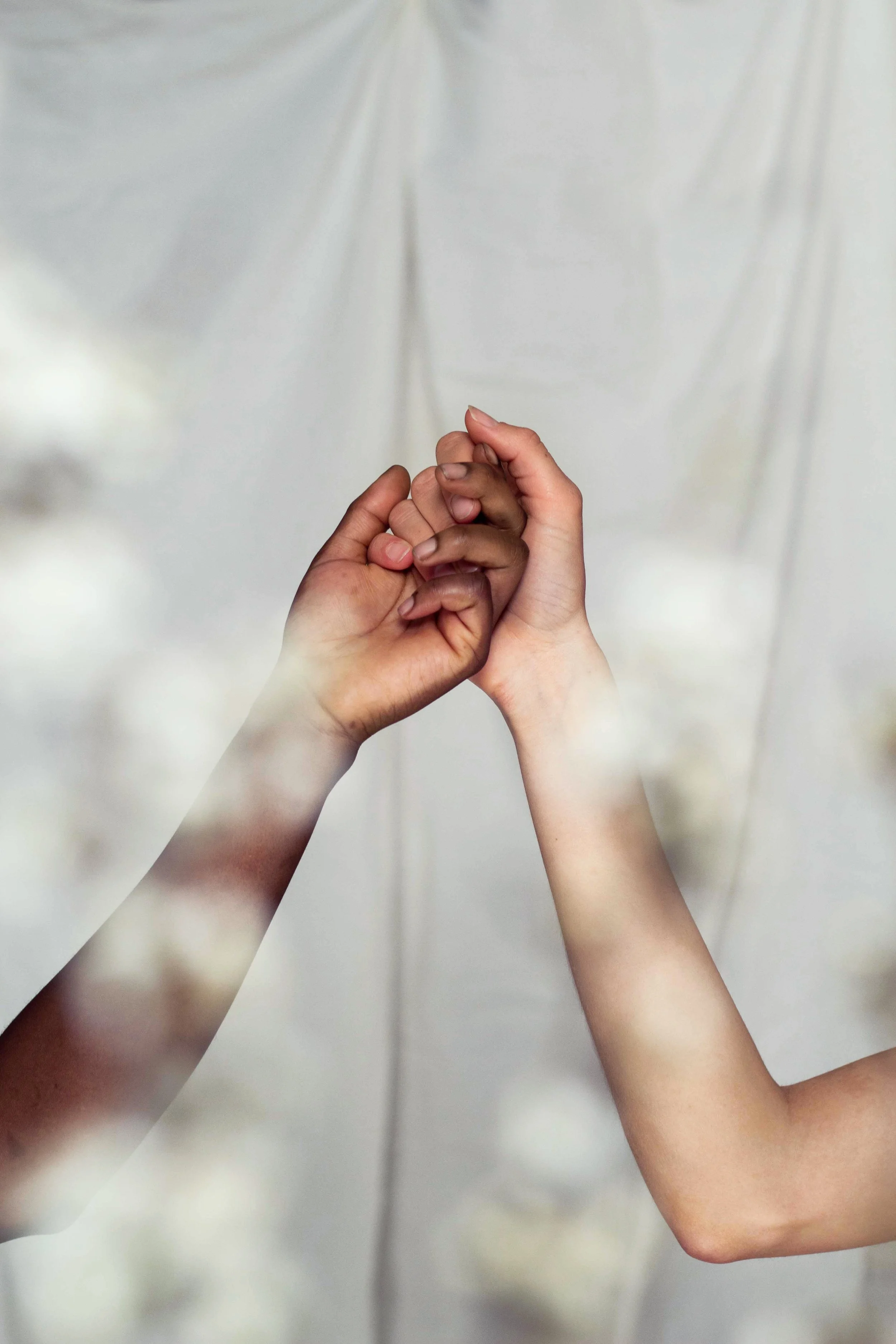 Yonii⋒Creative-12 copia.jpg