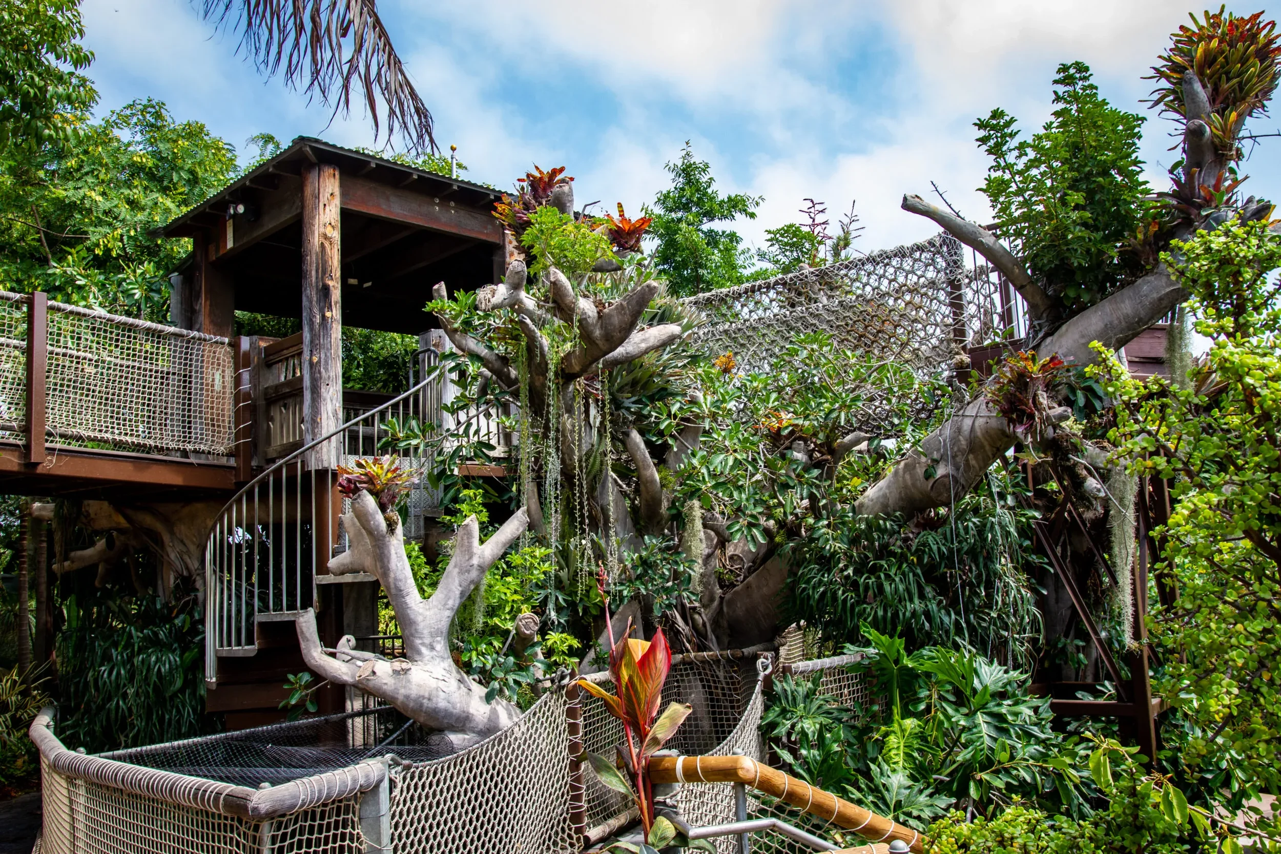 Garden-Hamilton-Childrens-Garden-Toni_s-Tree-House_01-scaled.jpg.webp