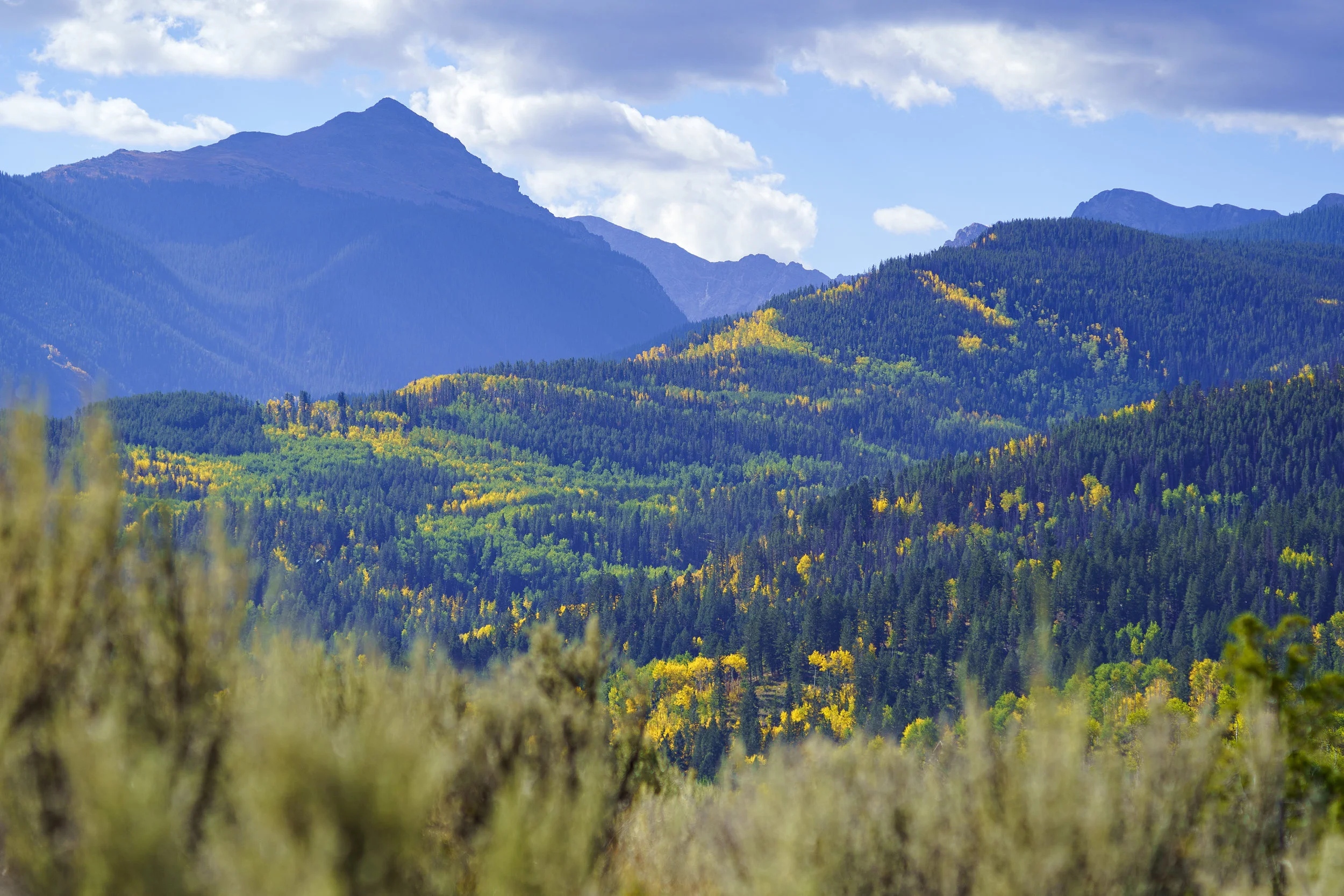705_Whiskey_Ridge_Fall_026.jpg