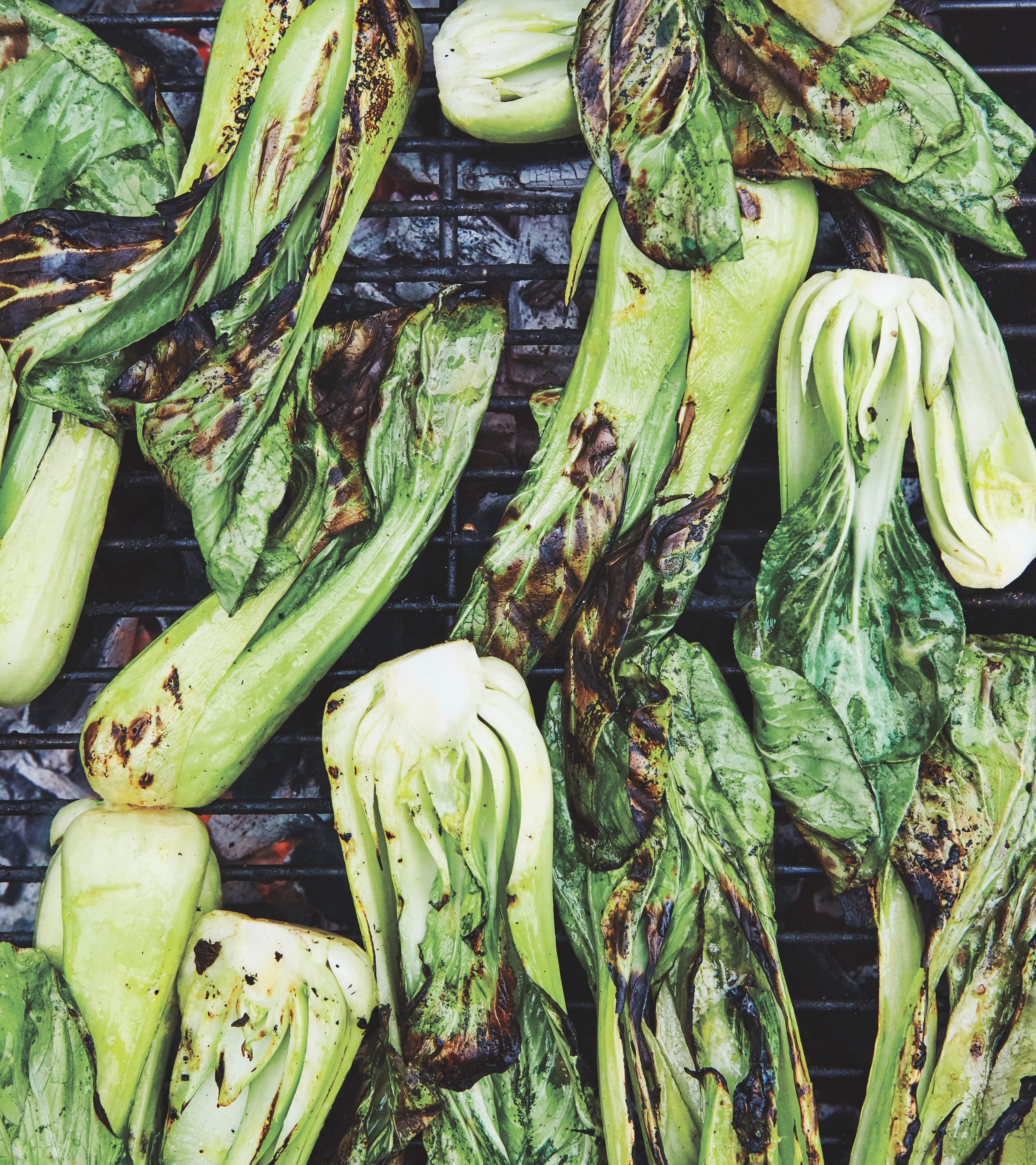 06-004-bokchoy-790308.png
