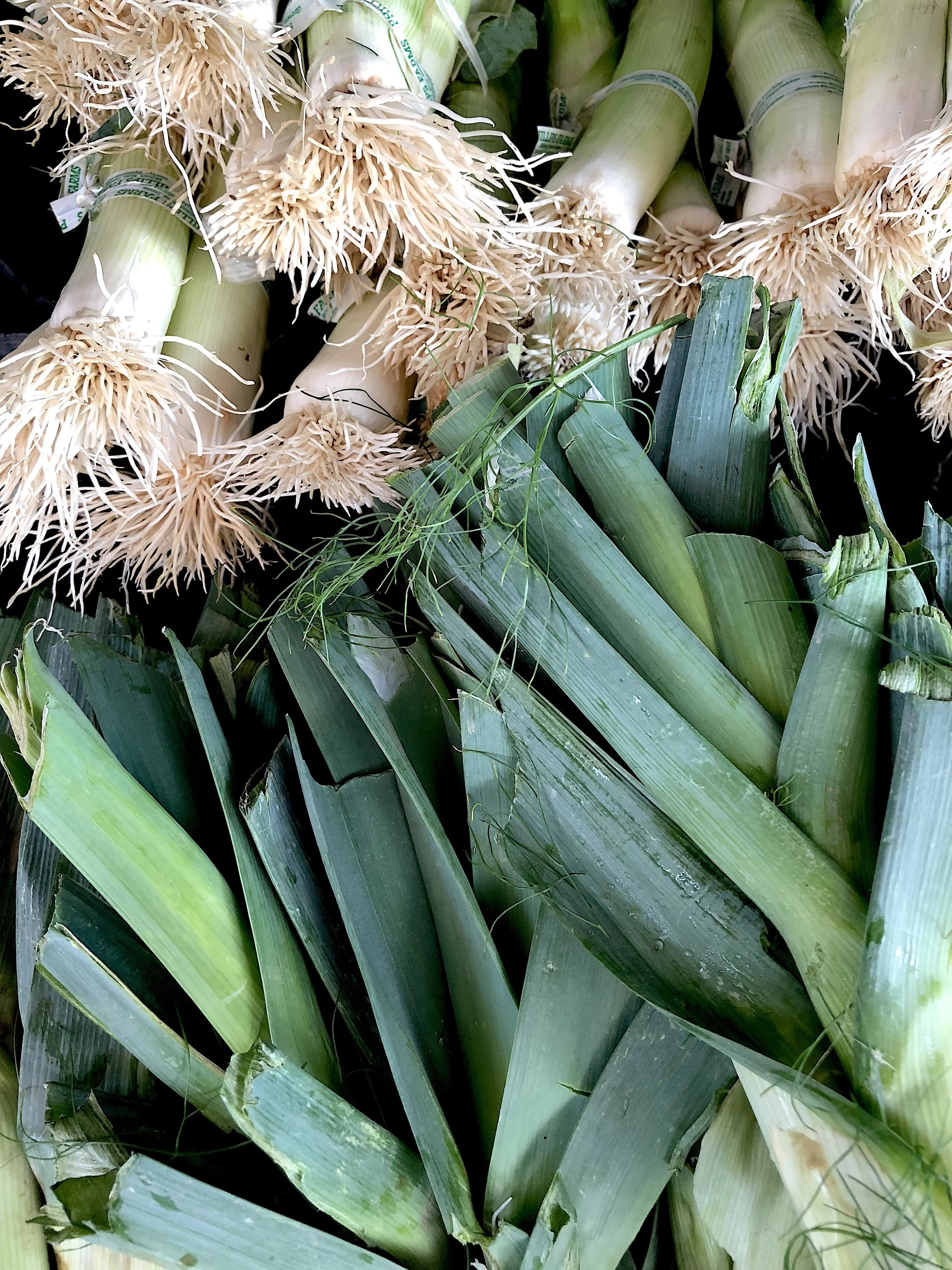 Leeks.jpg
