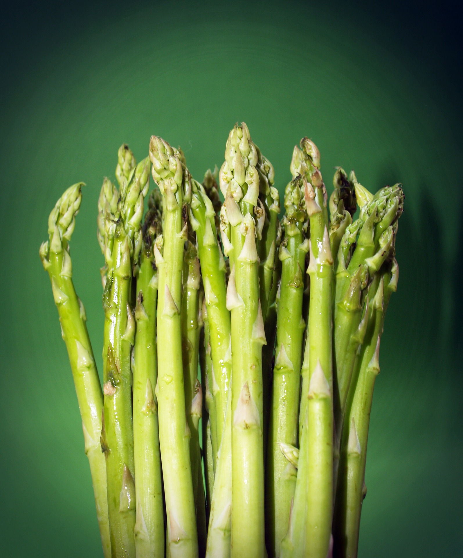 food-1549382_1920.jpg
