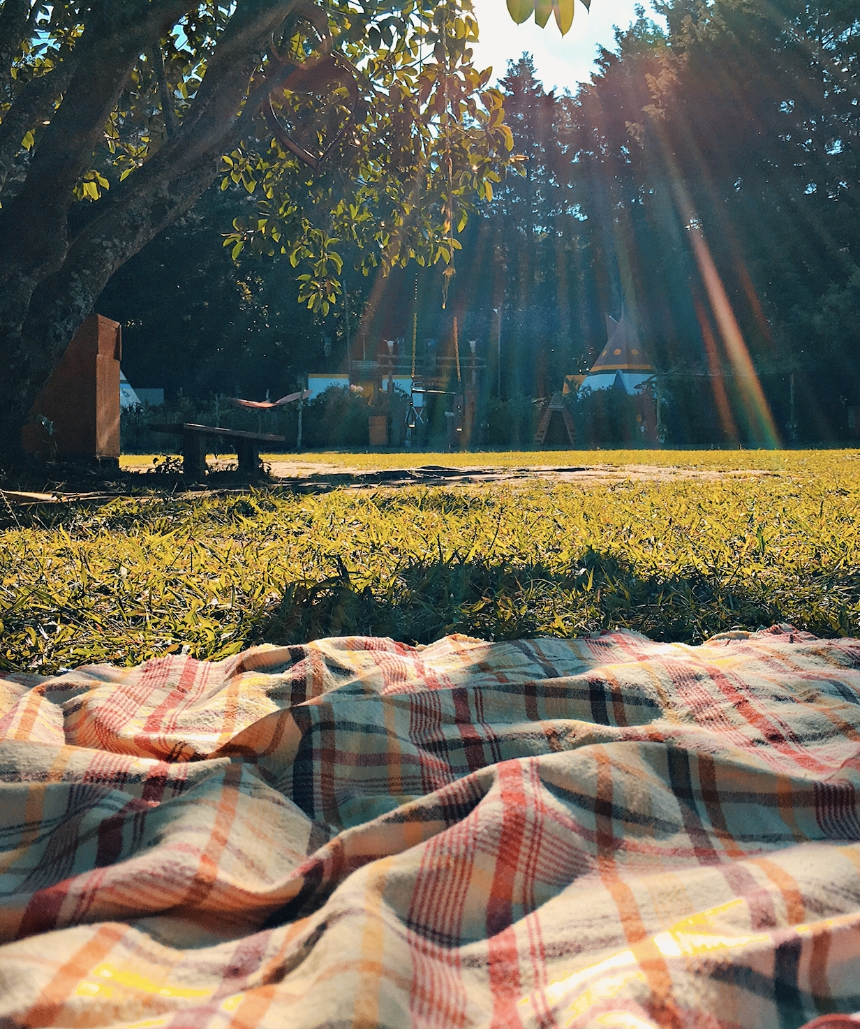 5 Picnic-Perfect Recipes