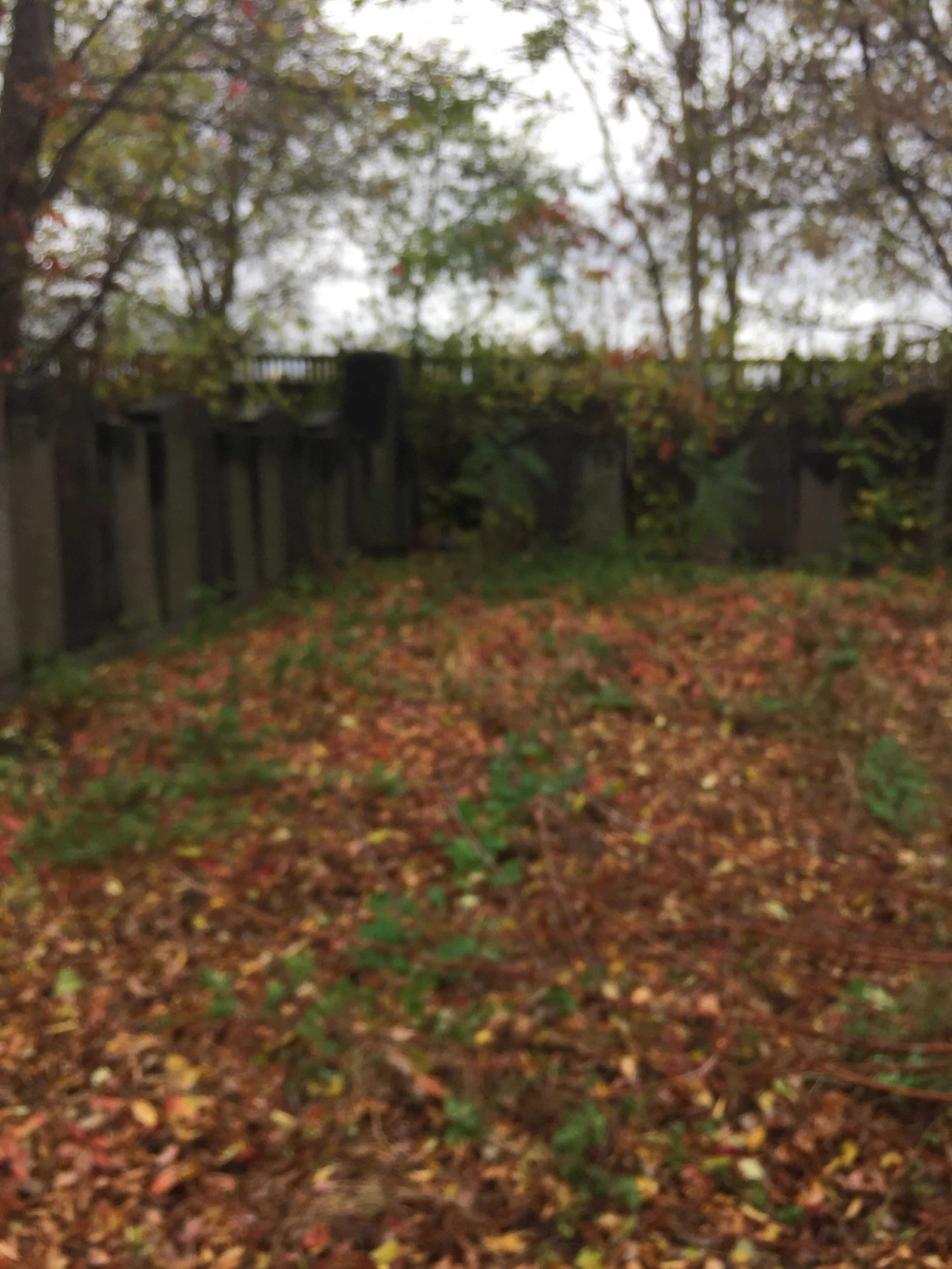 Unveiling of Holocaust Memorial Monument at the Jewish Cemetery in Odessa, Ukraine