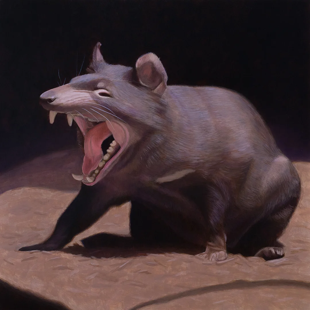 The Devil's Yawn