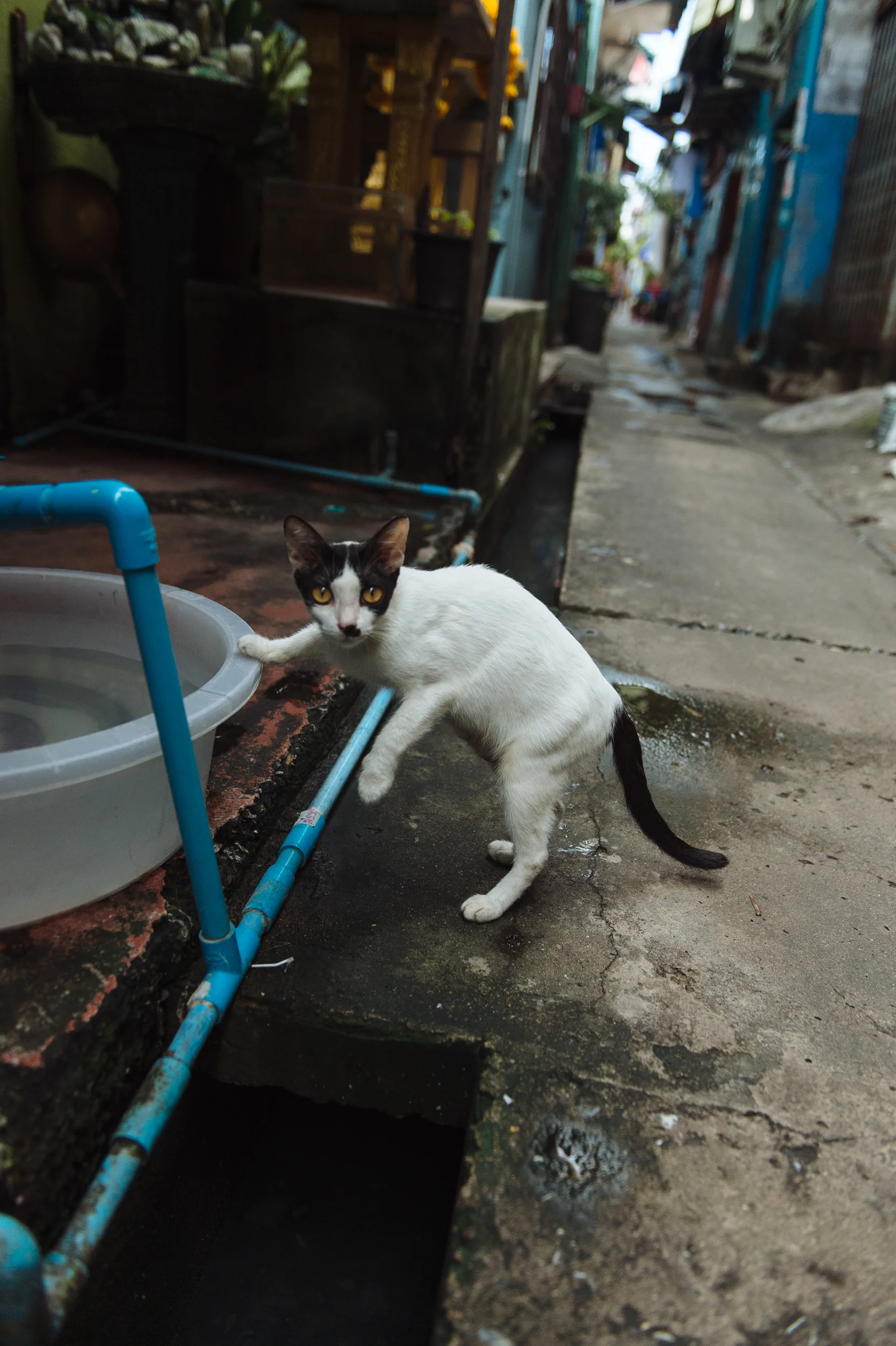 Khlong Toei_0681.jpg