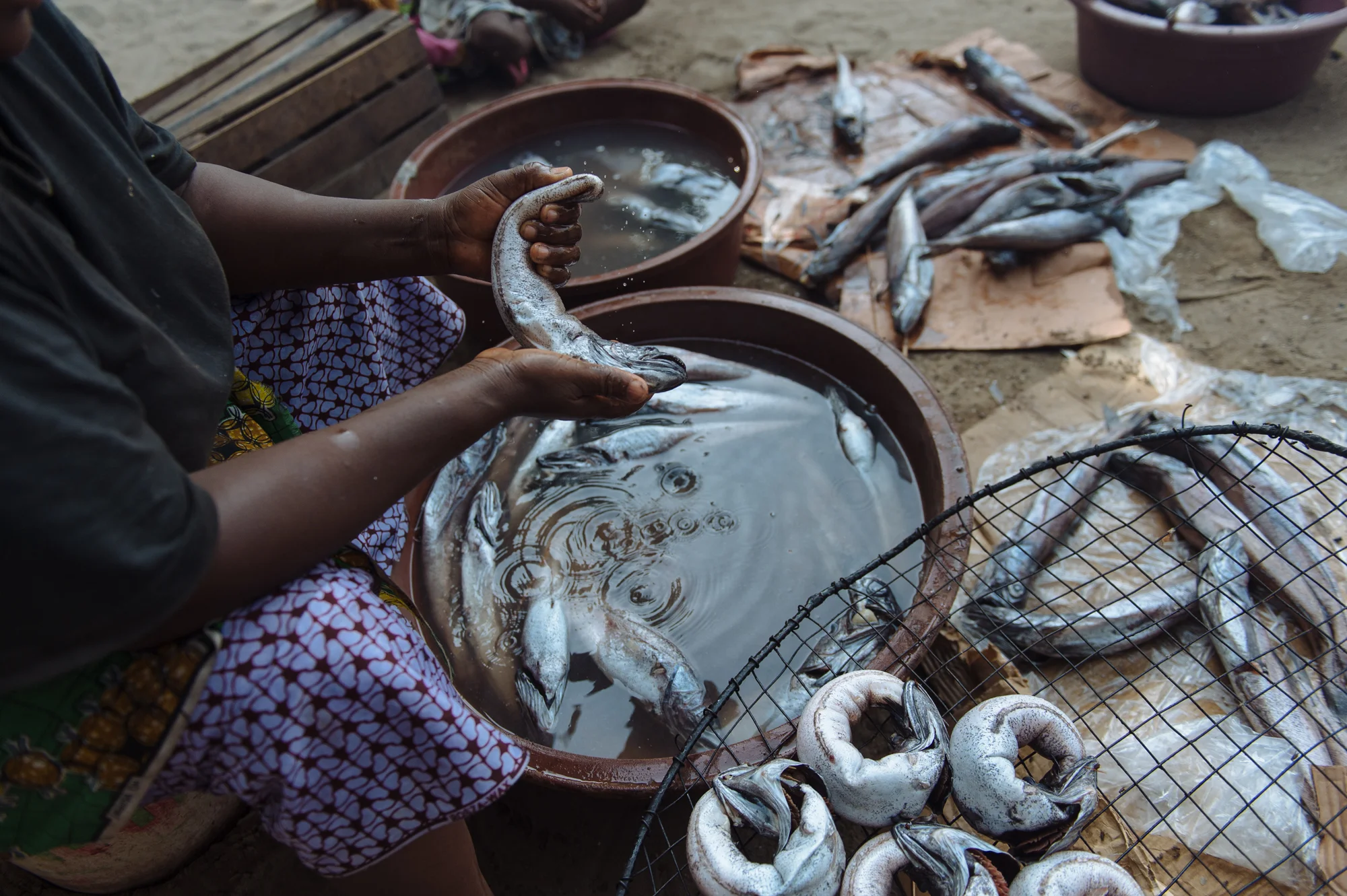 20180119_Abobodoumé Fish Market_Côte d'Ivoire_0172.jpg