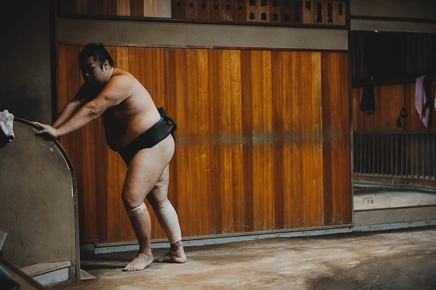 Sumo by Karine LaRocque-7.jpg
