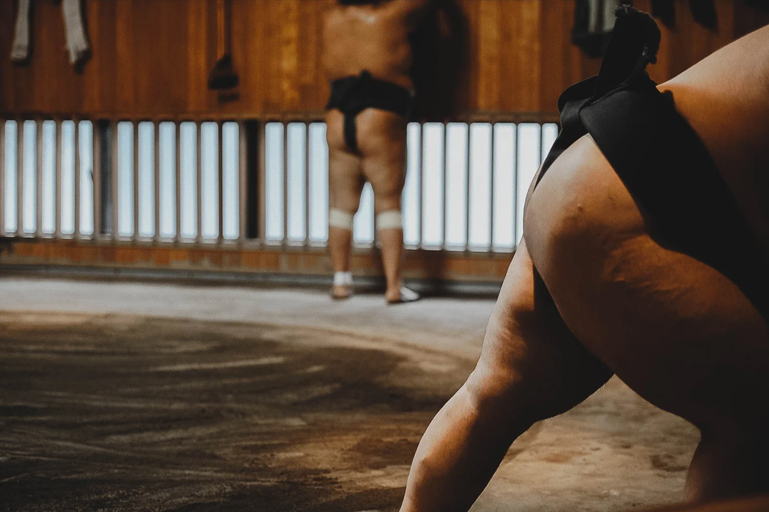 Sumo by Karine LaRocque-13.jpg