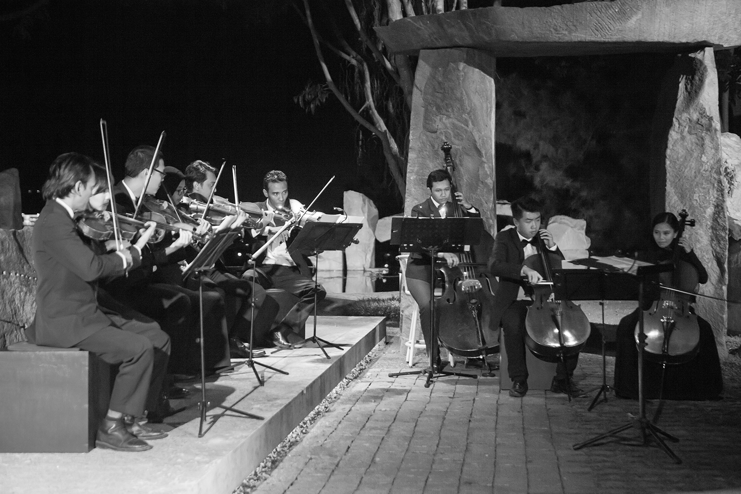 IMG_6805.jpg