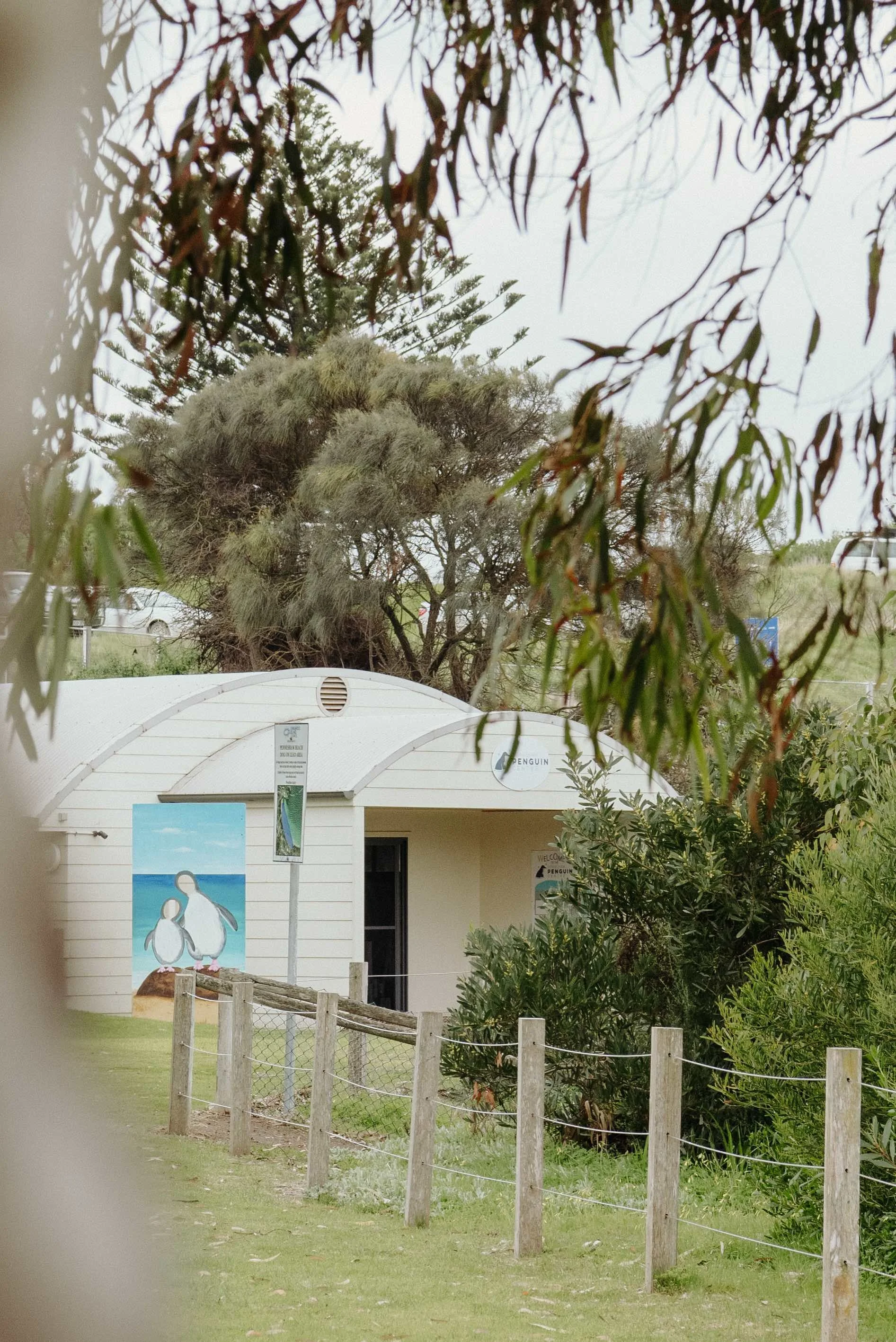 PenguinCentre(4).jpeg