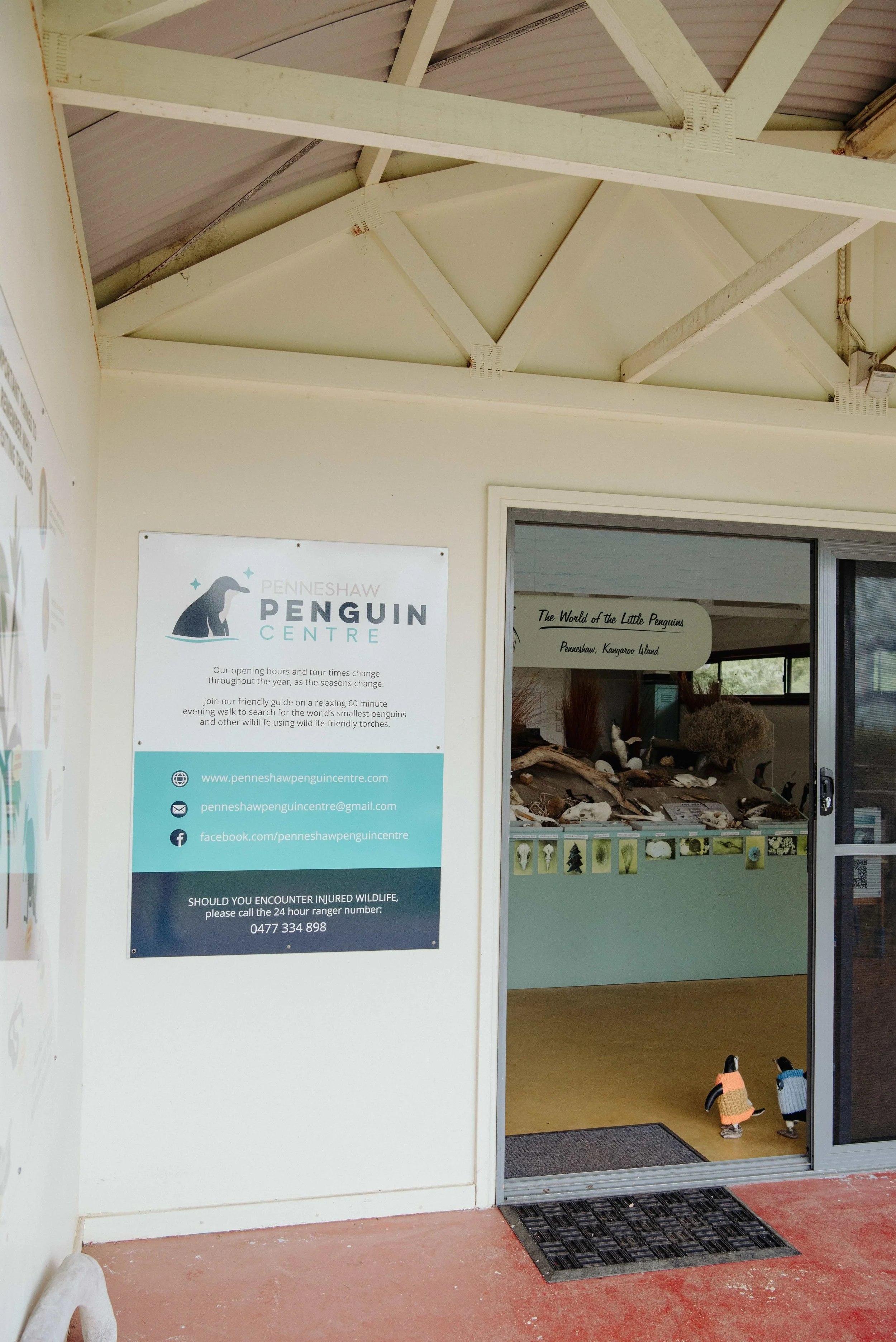 PenguinCentre(7).jpeg