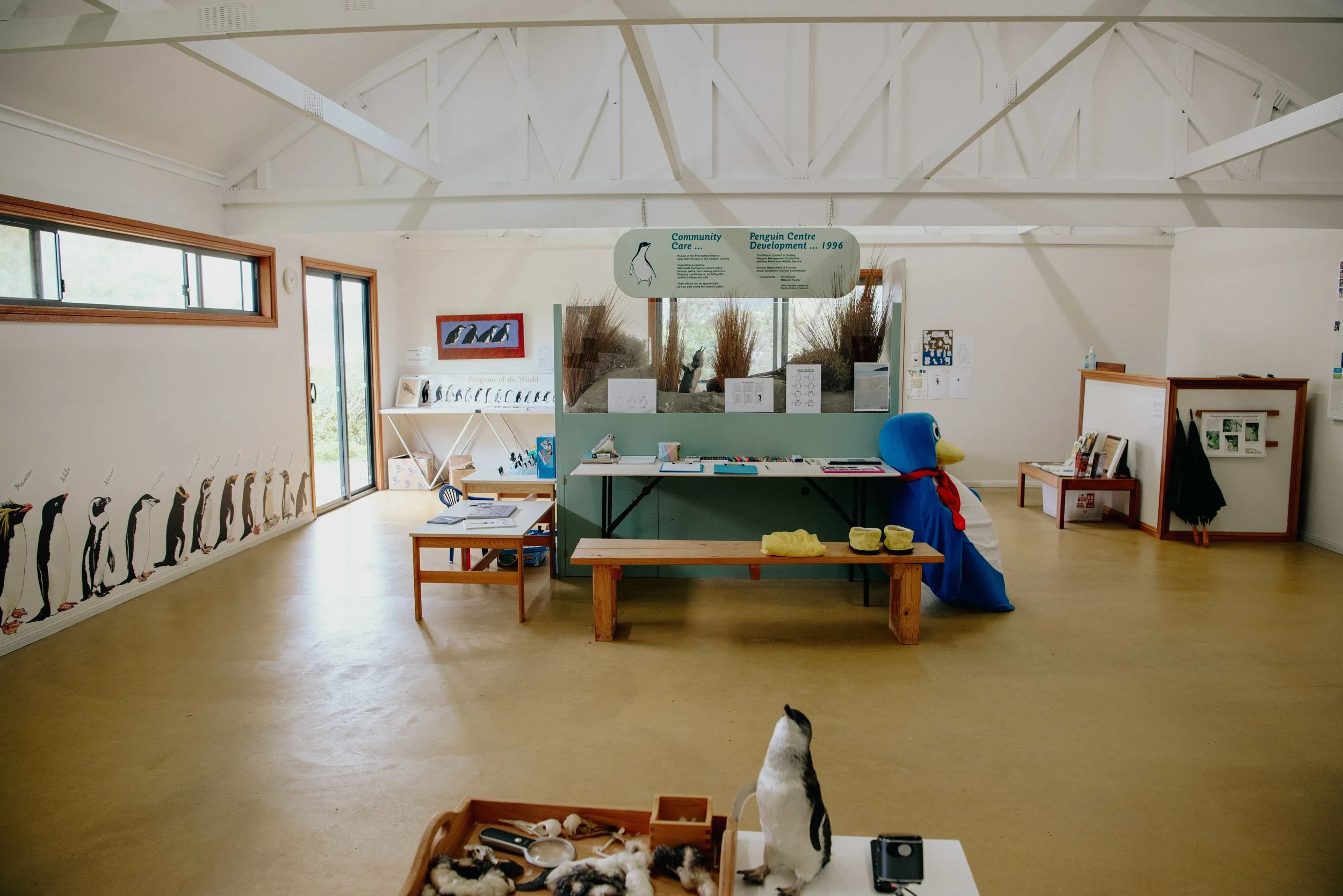 PenguinCentre(25).jpeg
