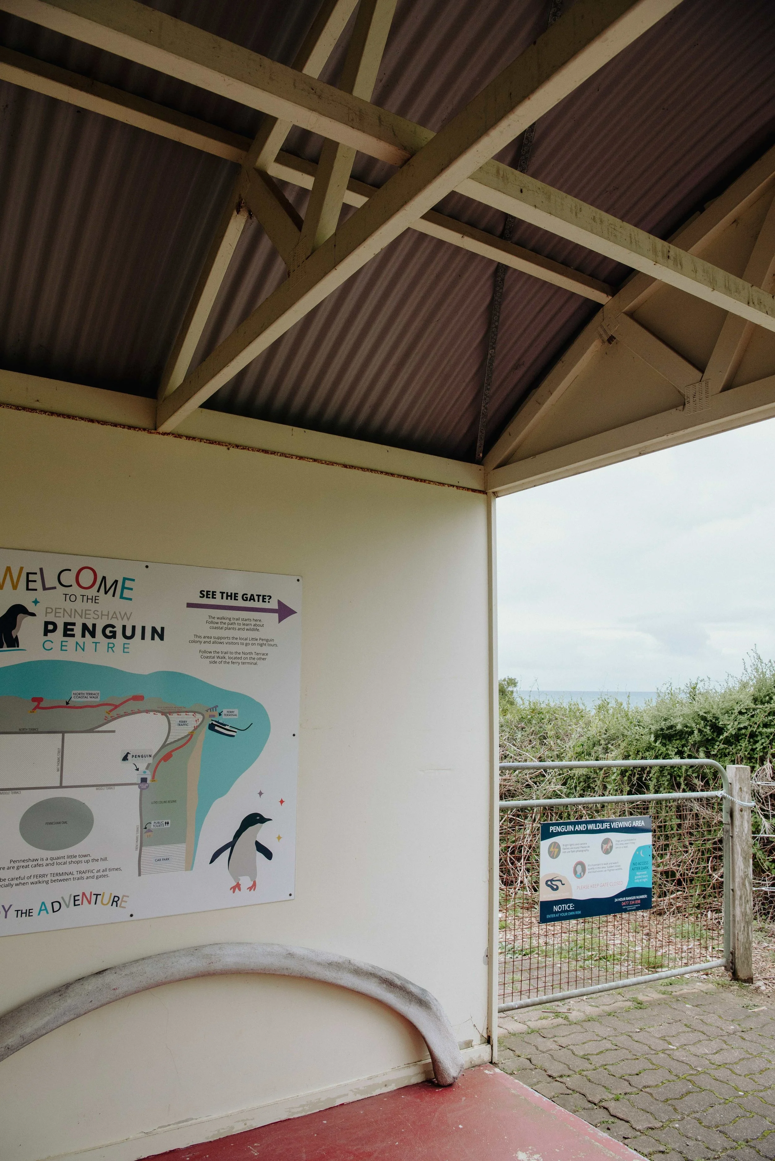 PenguinCentre(31).jpeg