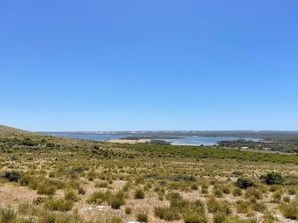 🦘FOR SALE |  Lot 4 Davies Rd Pelican Lagoon 

15 Hectares |  Stunning Views | $315,000

Sophie 0428922515 

RLA 288582