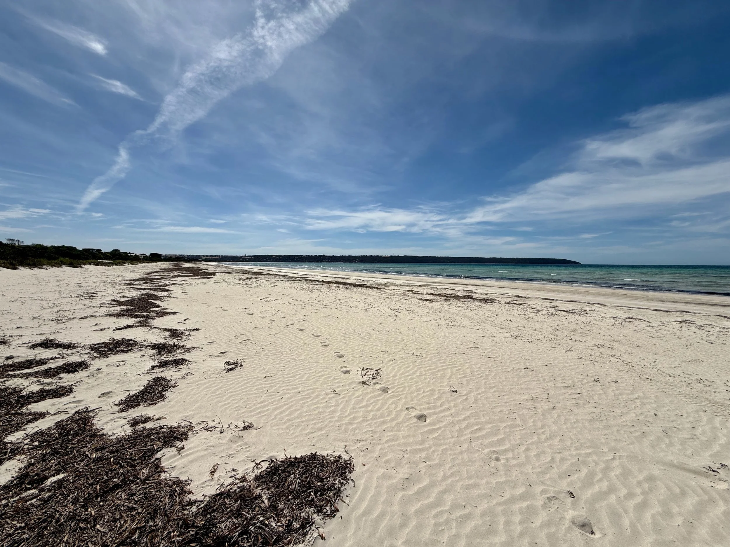 IMG_9719 (1).jpeg