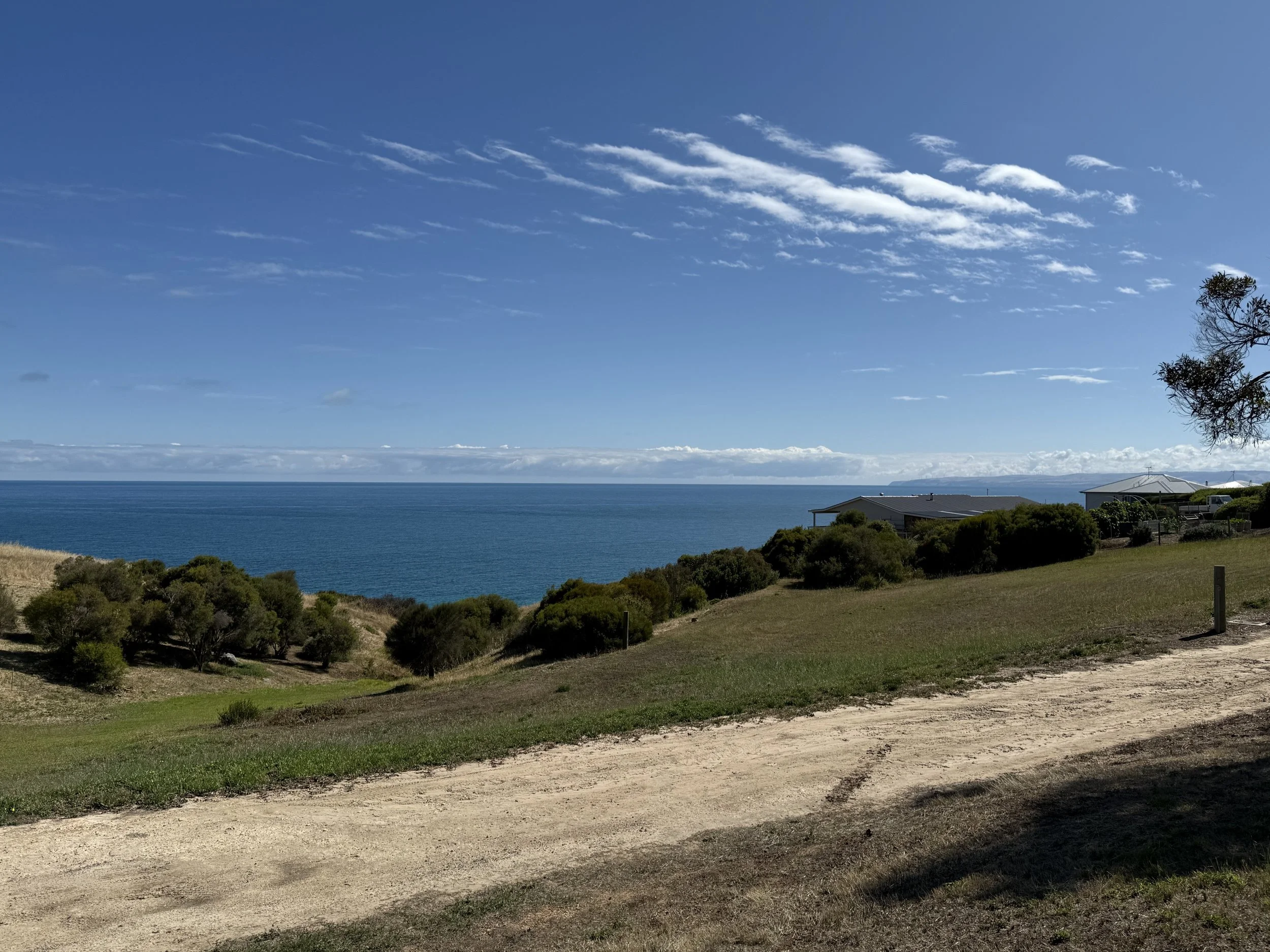 IMG_0256.jpeg