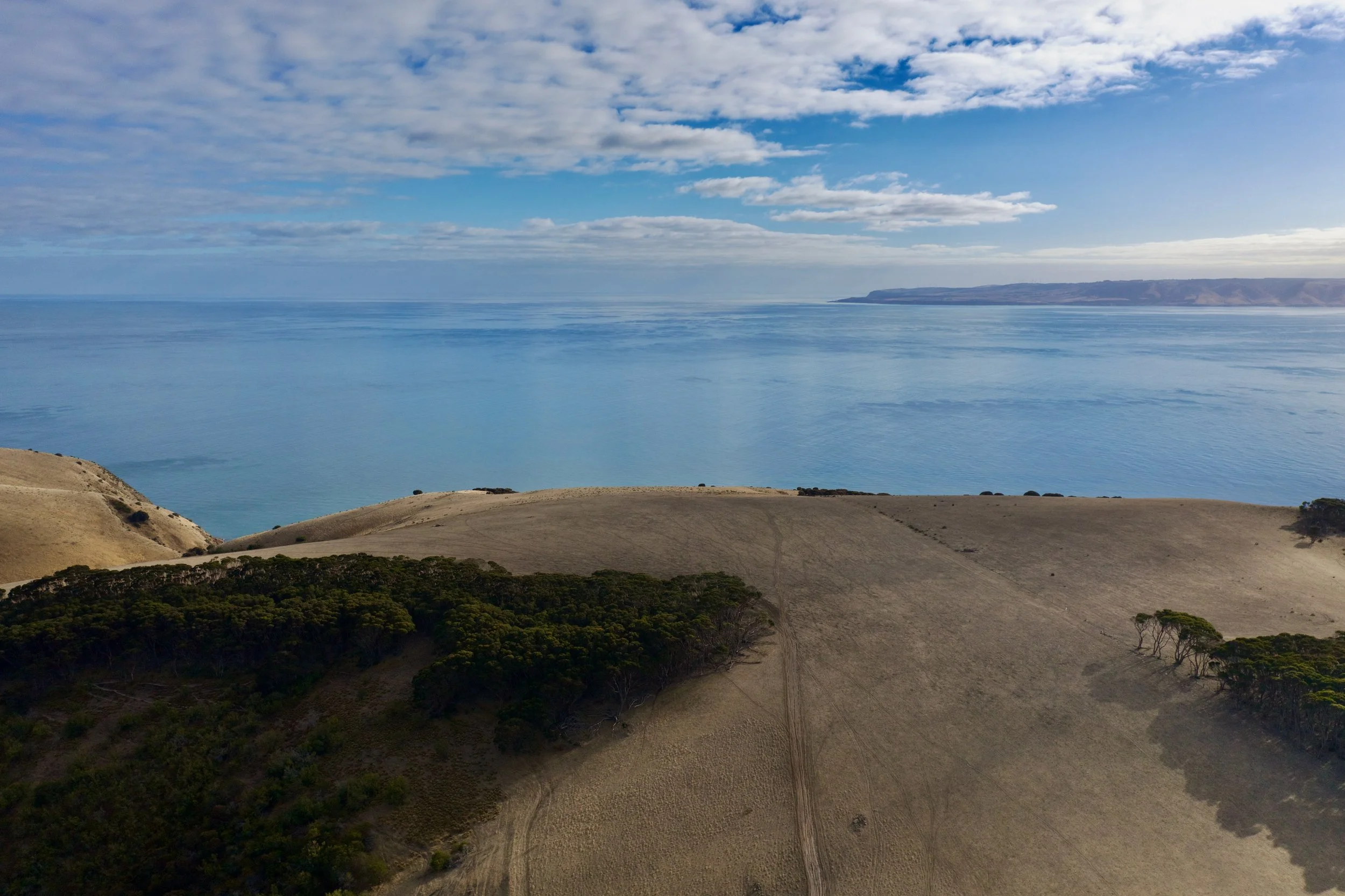 DJI_0825.jpeg