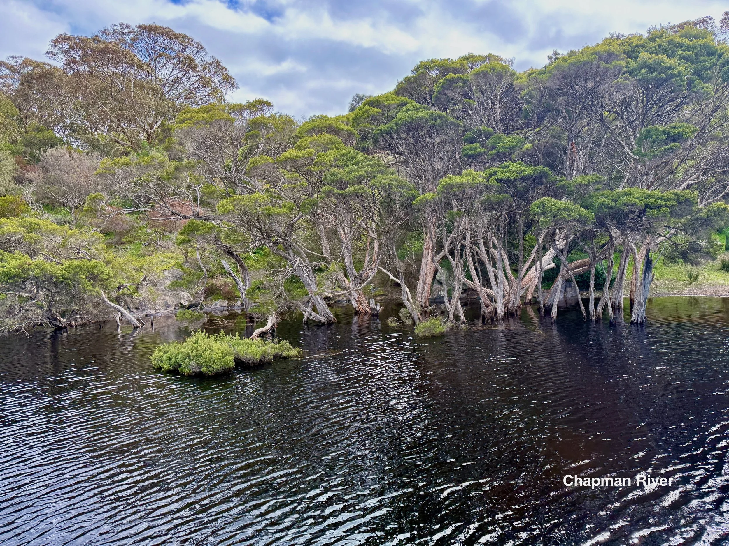 IMG_2678 copy 2.jpeg