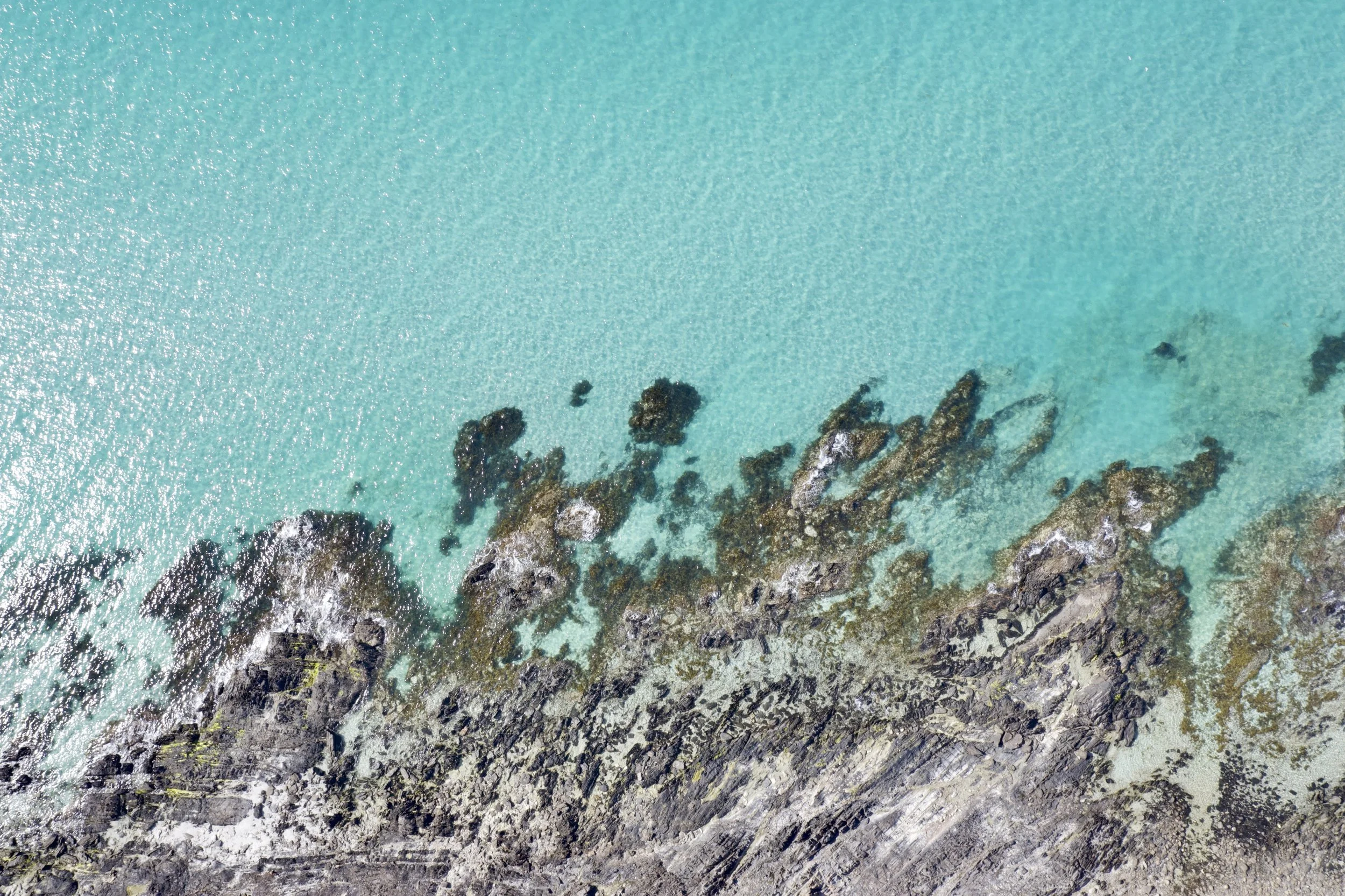 DJI_0860 COPY.jpeg