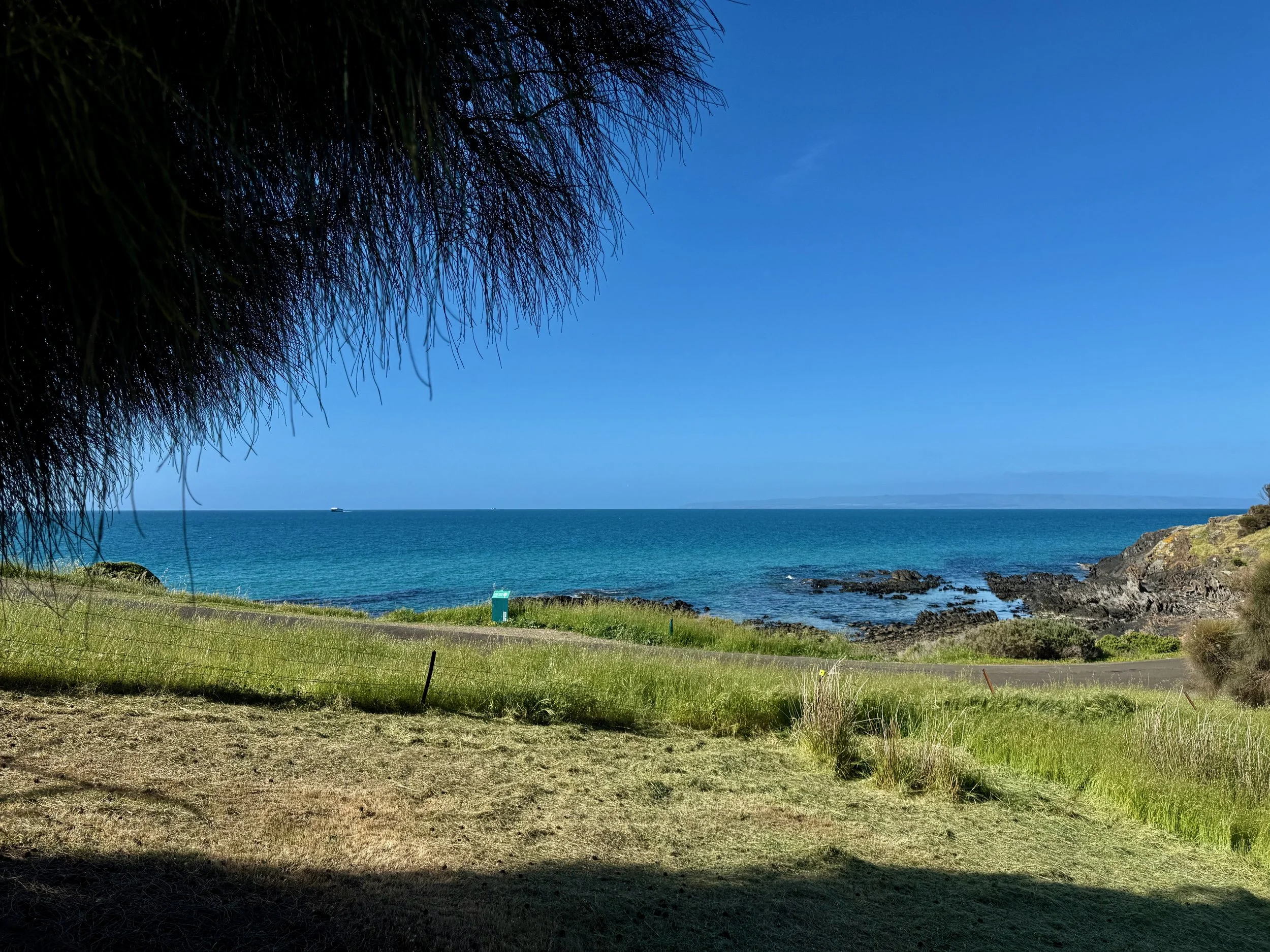 IMG_3990 (1).jpeg