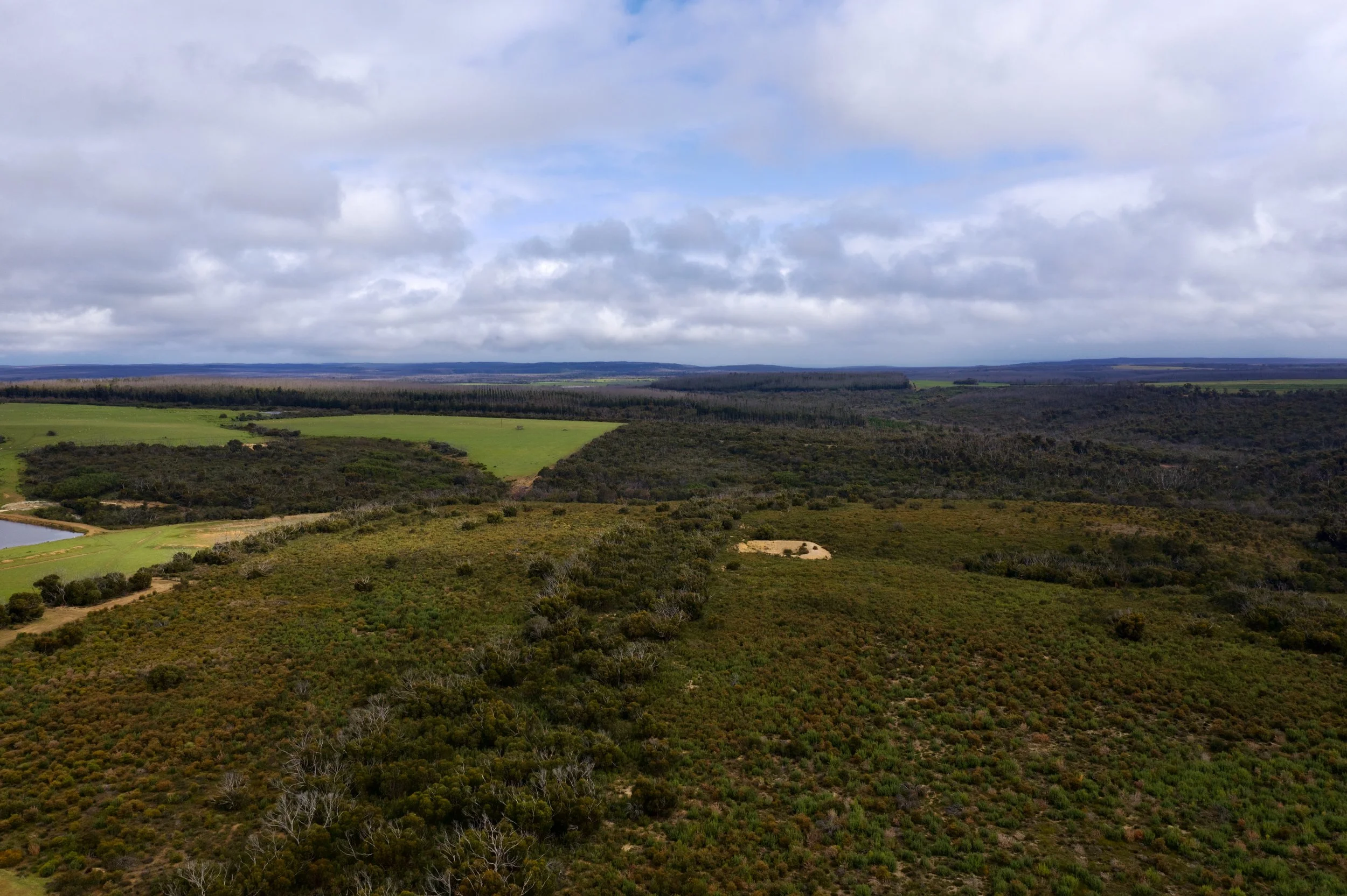 DJI_0945.jpeg