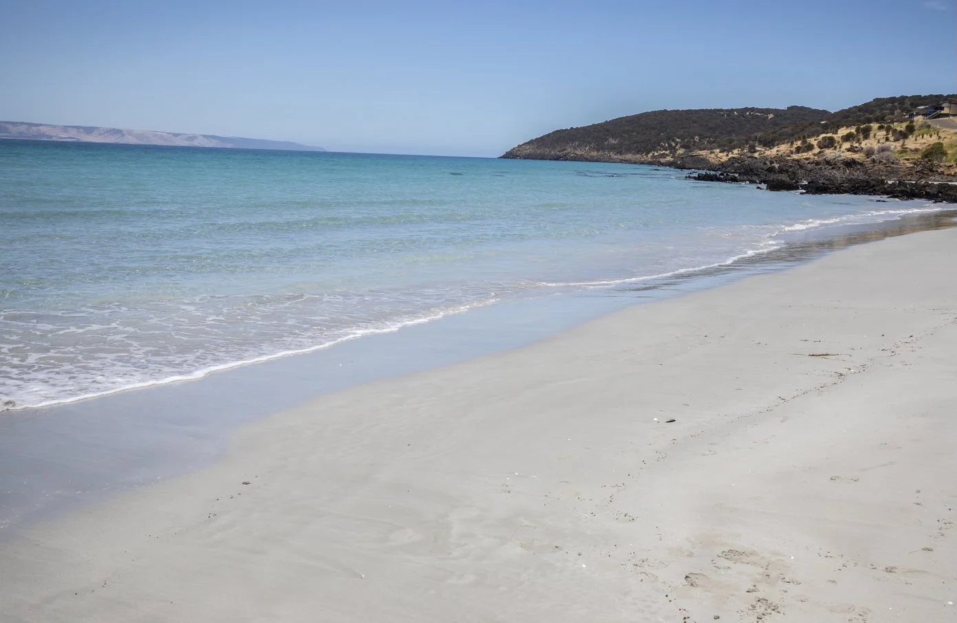 229A6538 meg hansen photography copy.jpeg