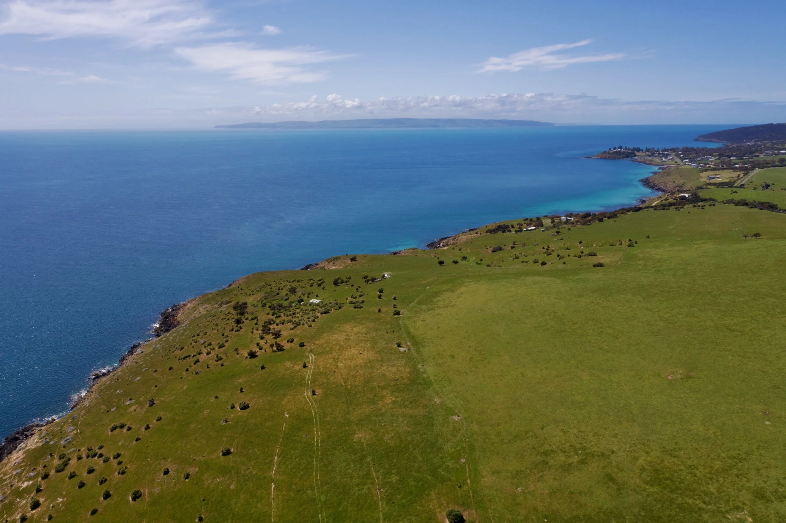 DJI_0104.jpeg