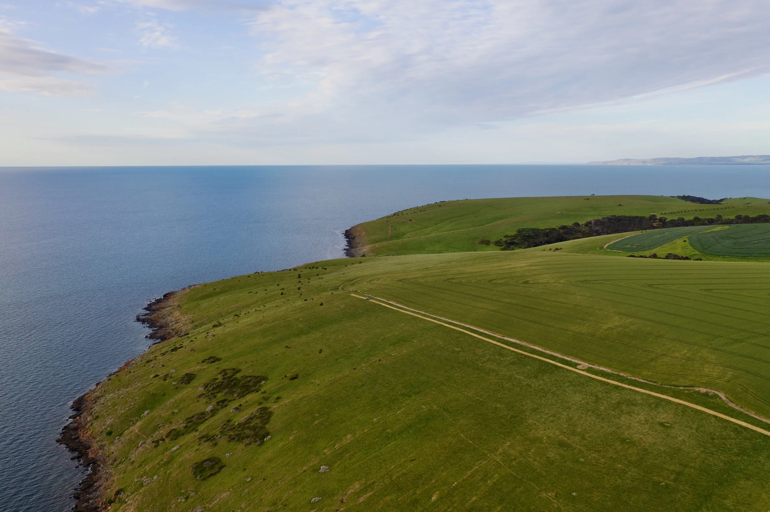 DJI_0706.jpeg
