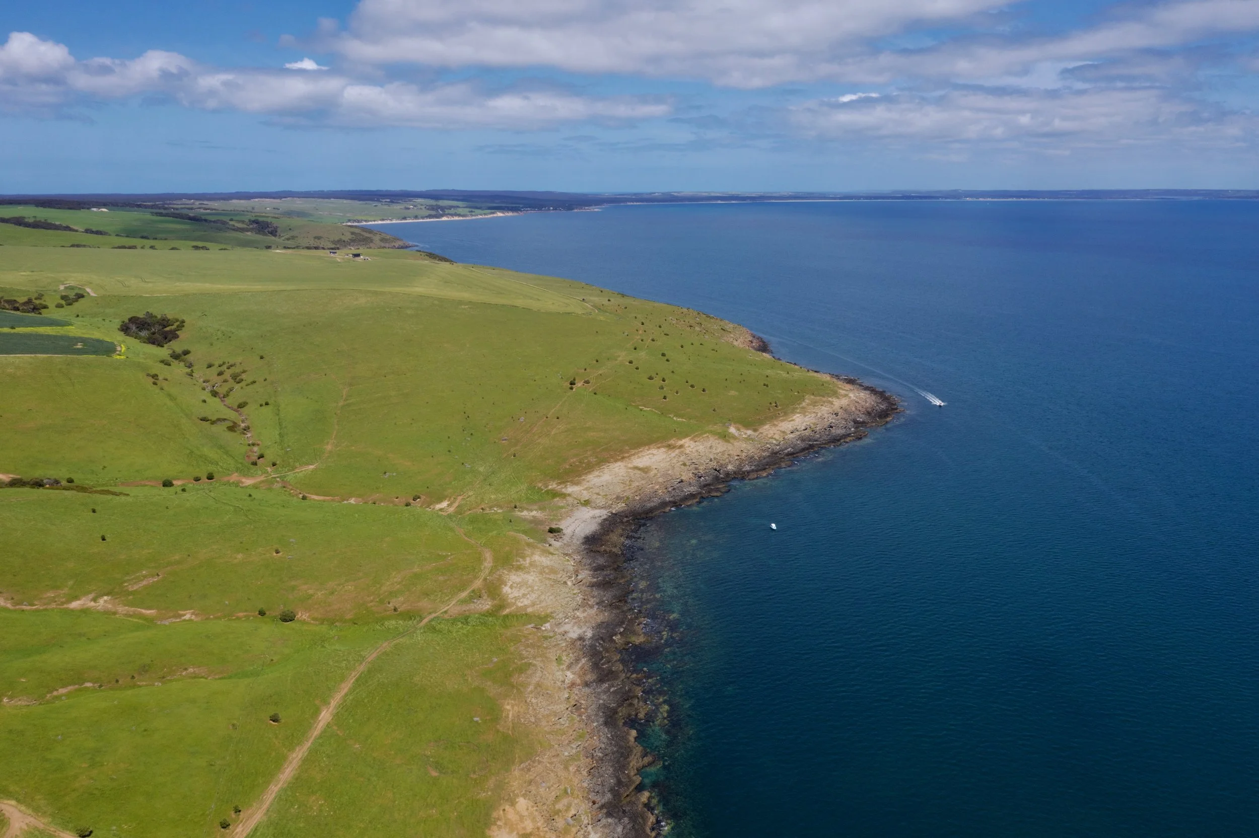 DJI_0108 (1).jpeg