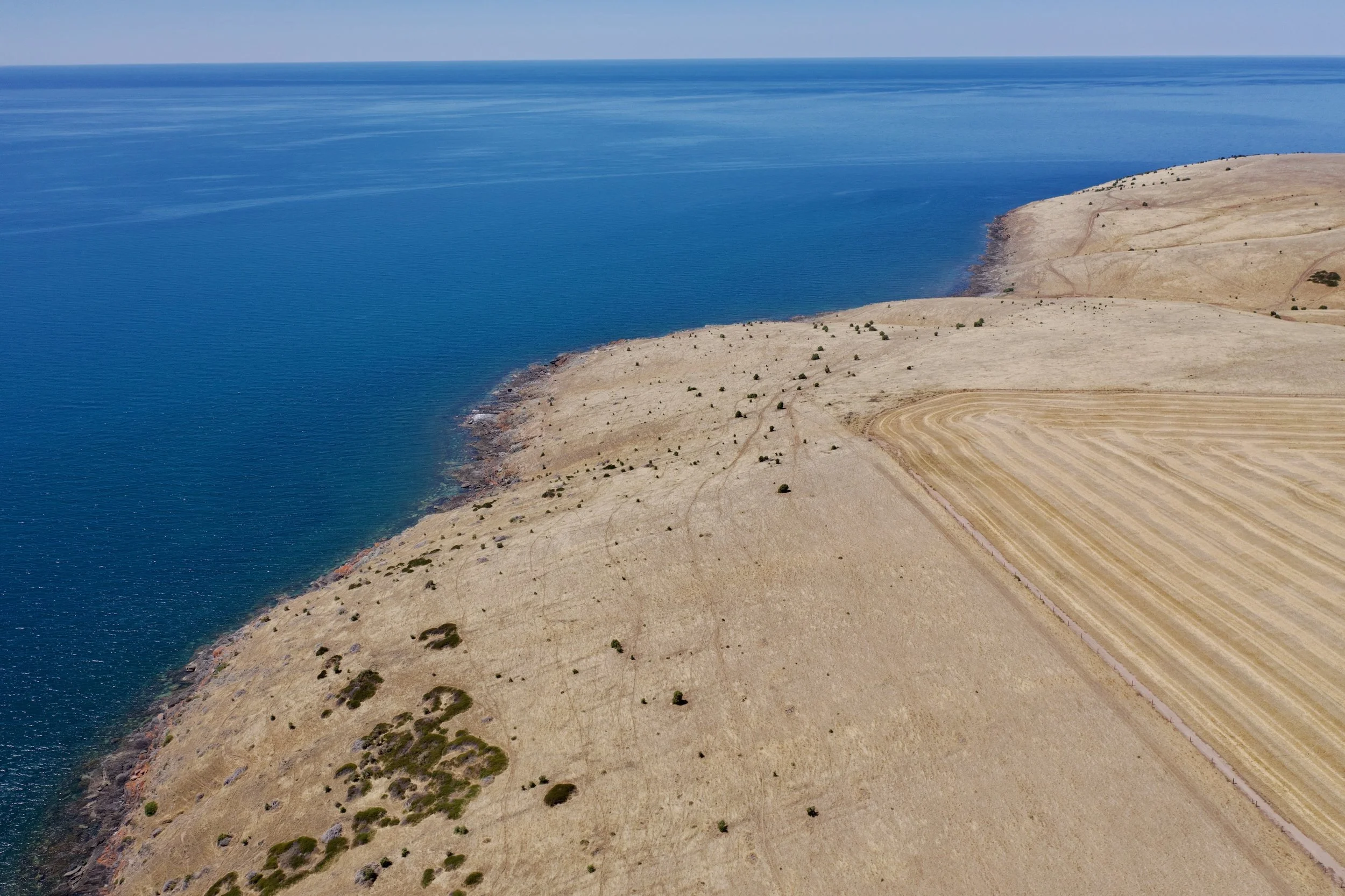 DJI_0955 copy.jpeg