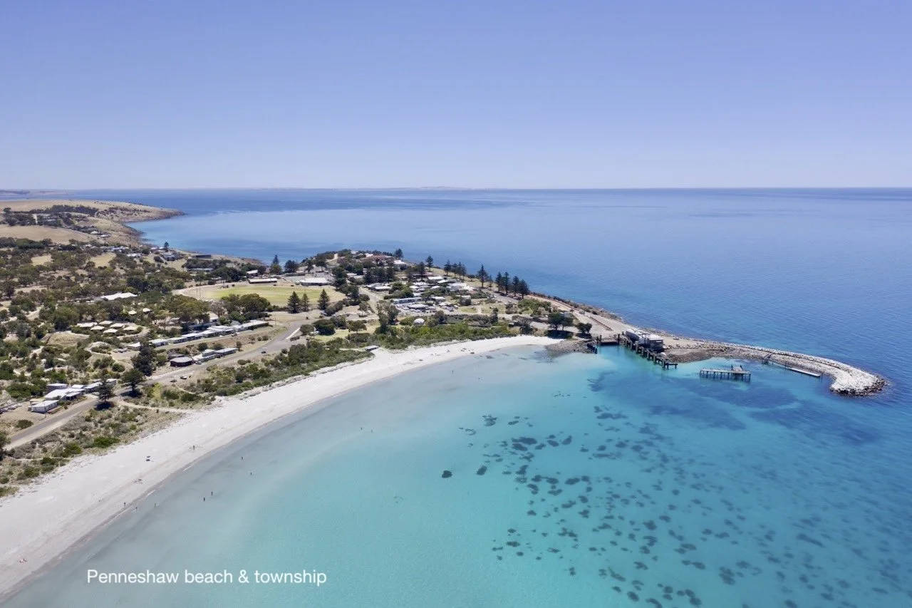 DJI_0895 (1).jpeg