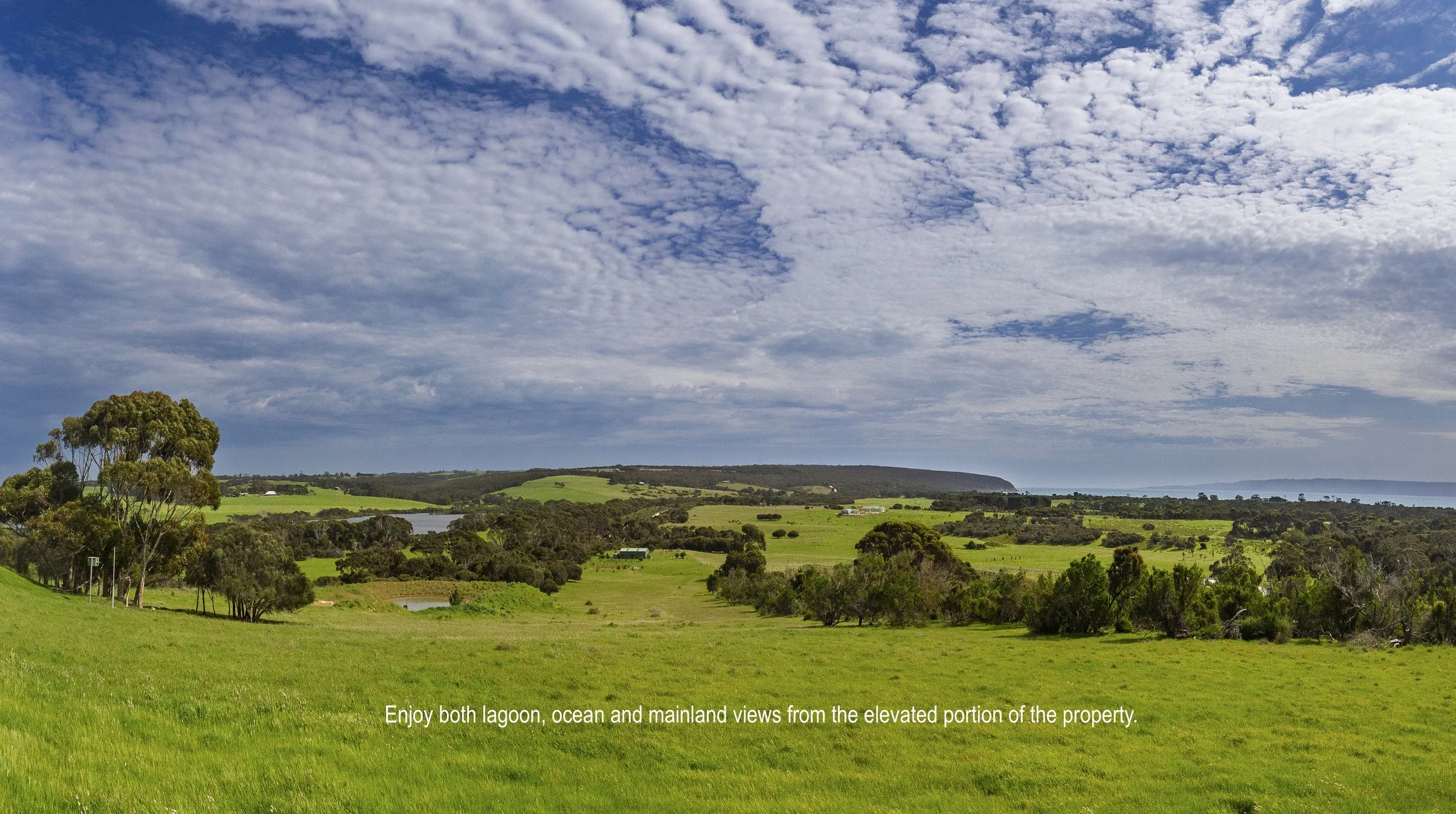 IMG_8394-Pano copy.jpg