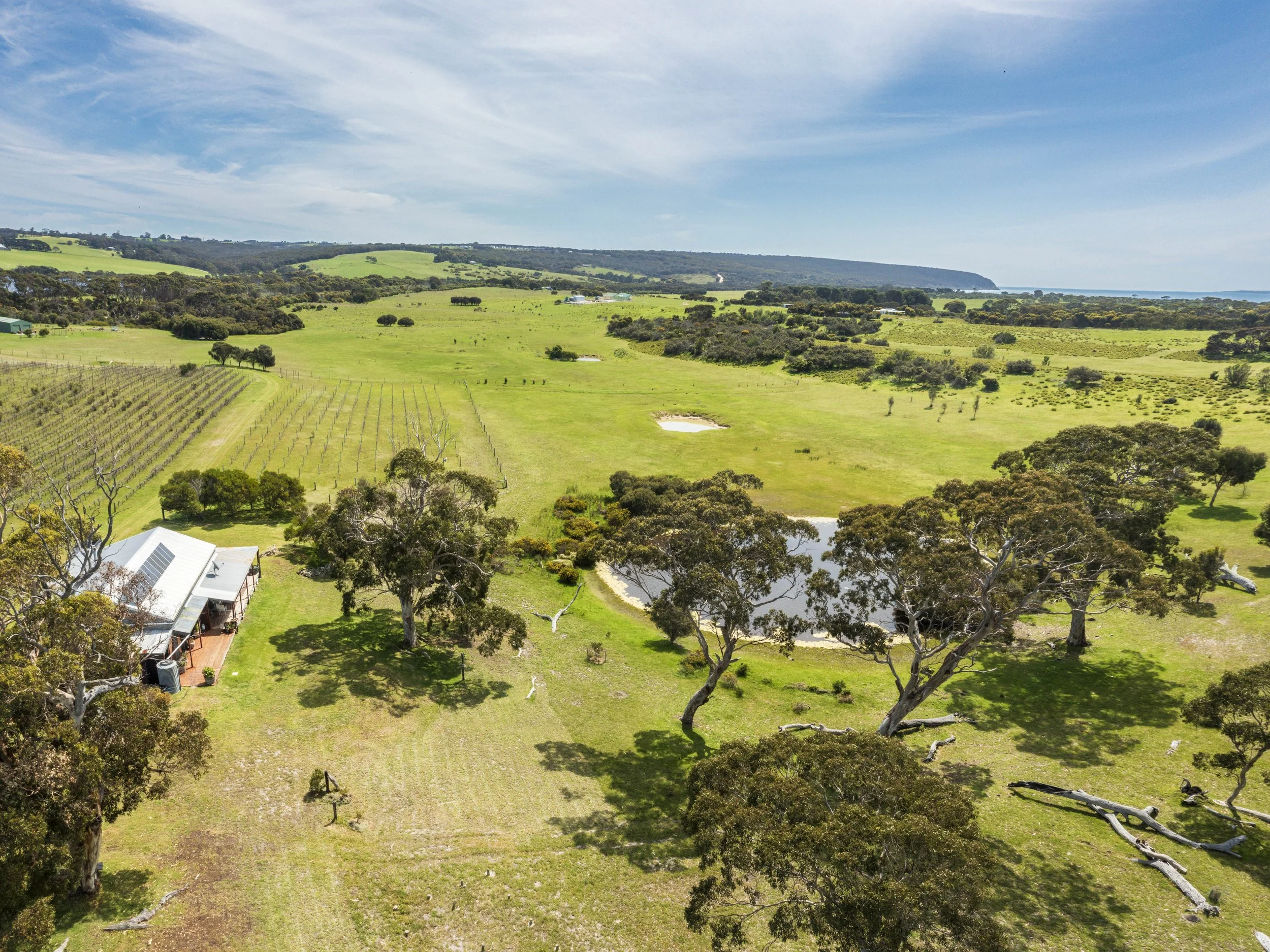 DJI_0145-Pano.jpg