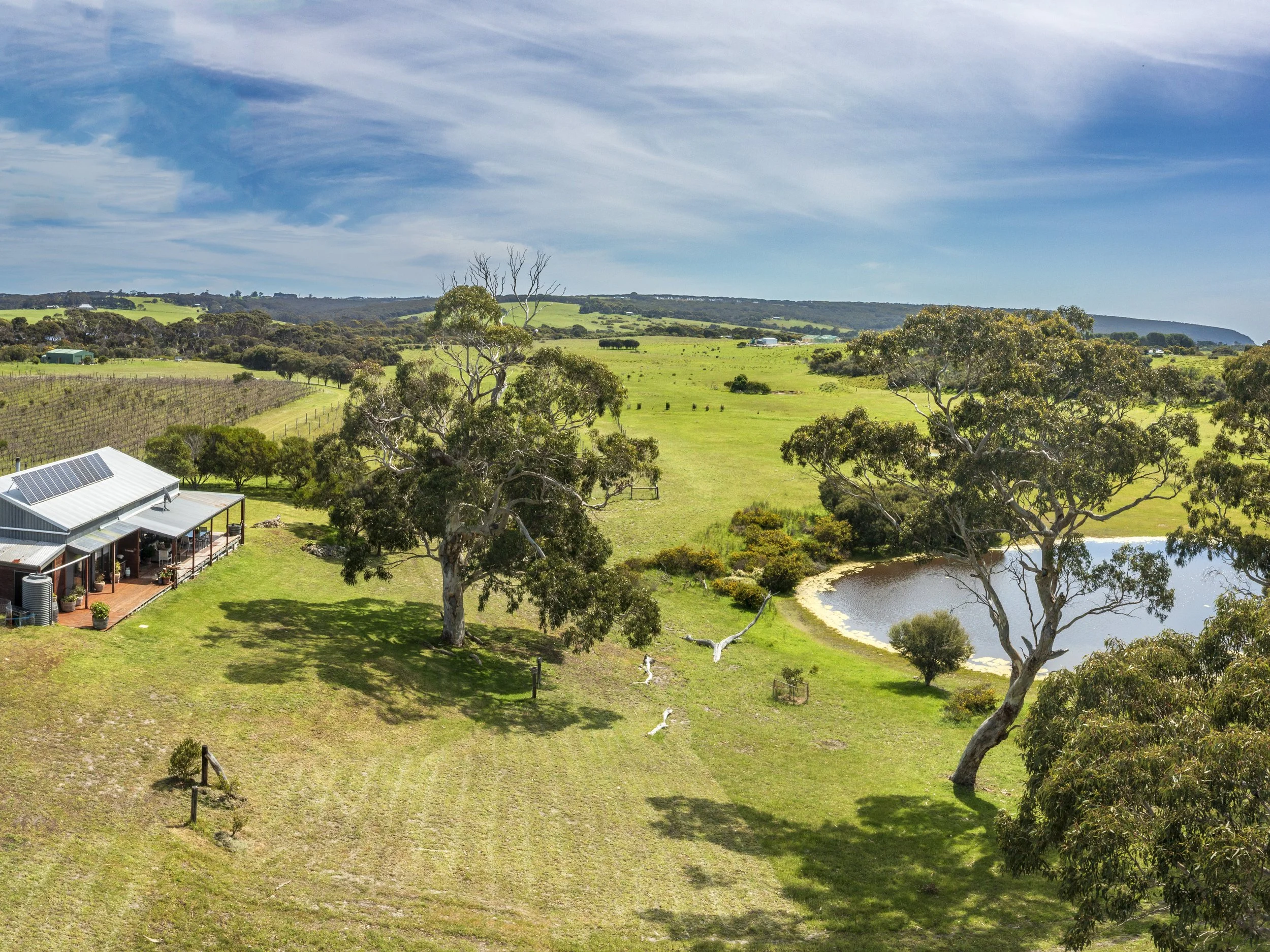 DJI_0142-Pano.jpg