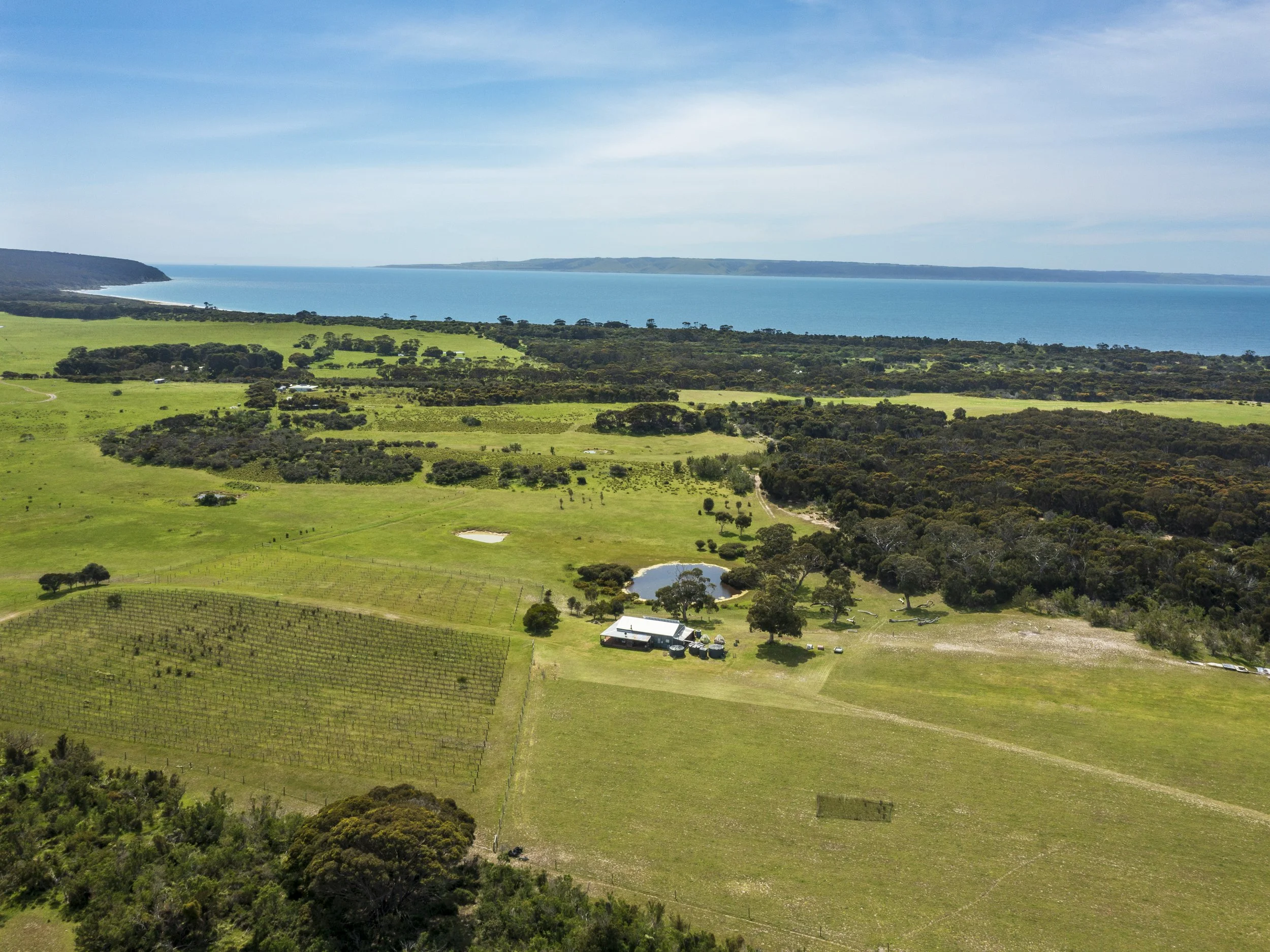 DJI_0123-Pano.jpg
