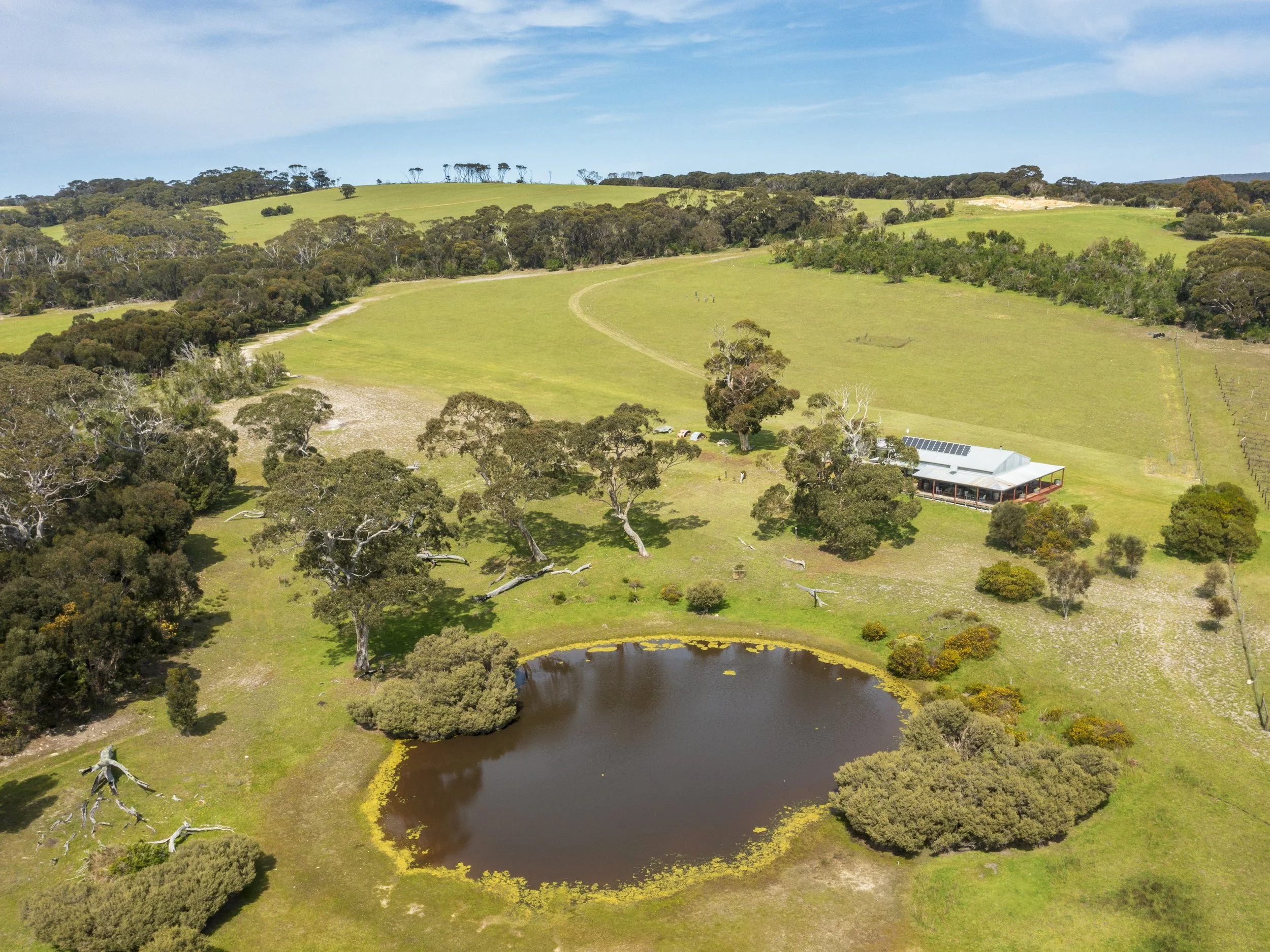 DJI_0092-Pano.jpg