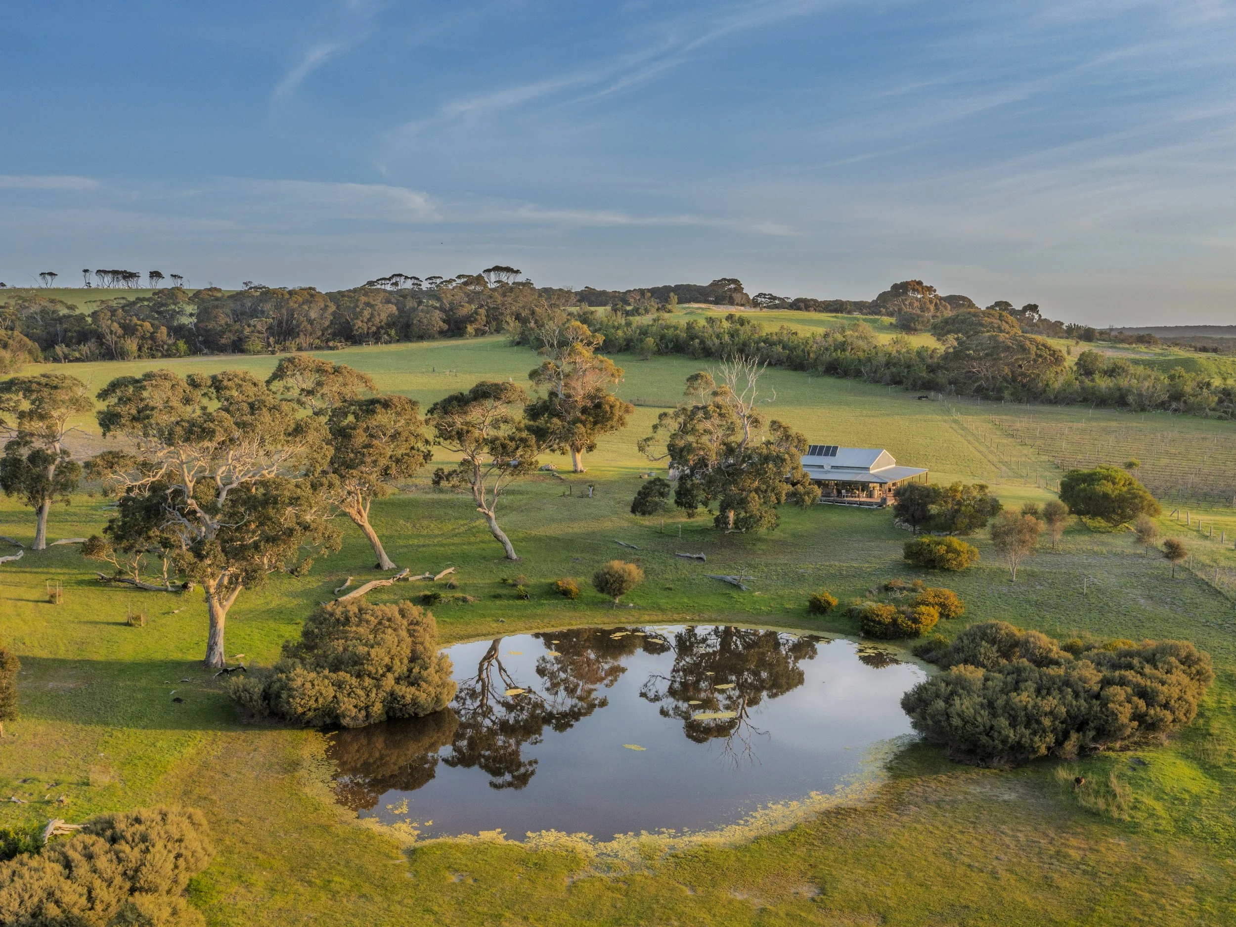 DJI_0064-Pano.jpg