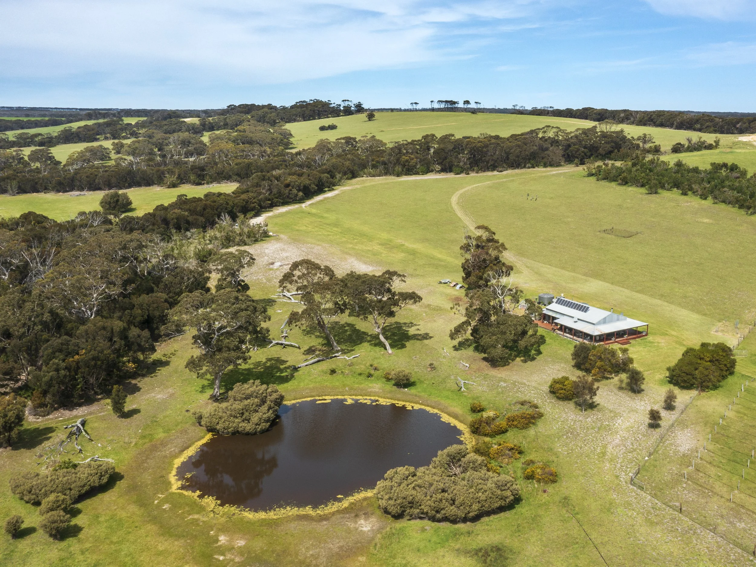 DJI_0114.jpg