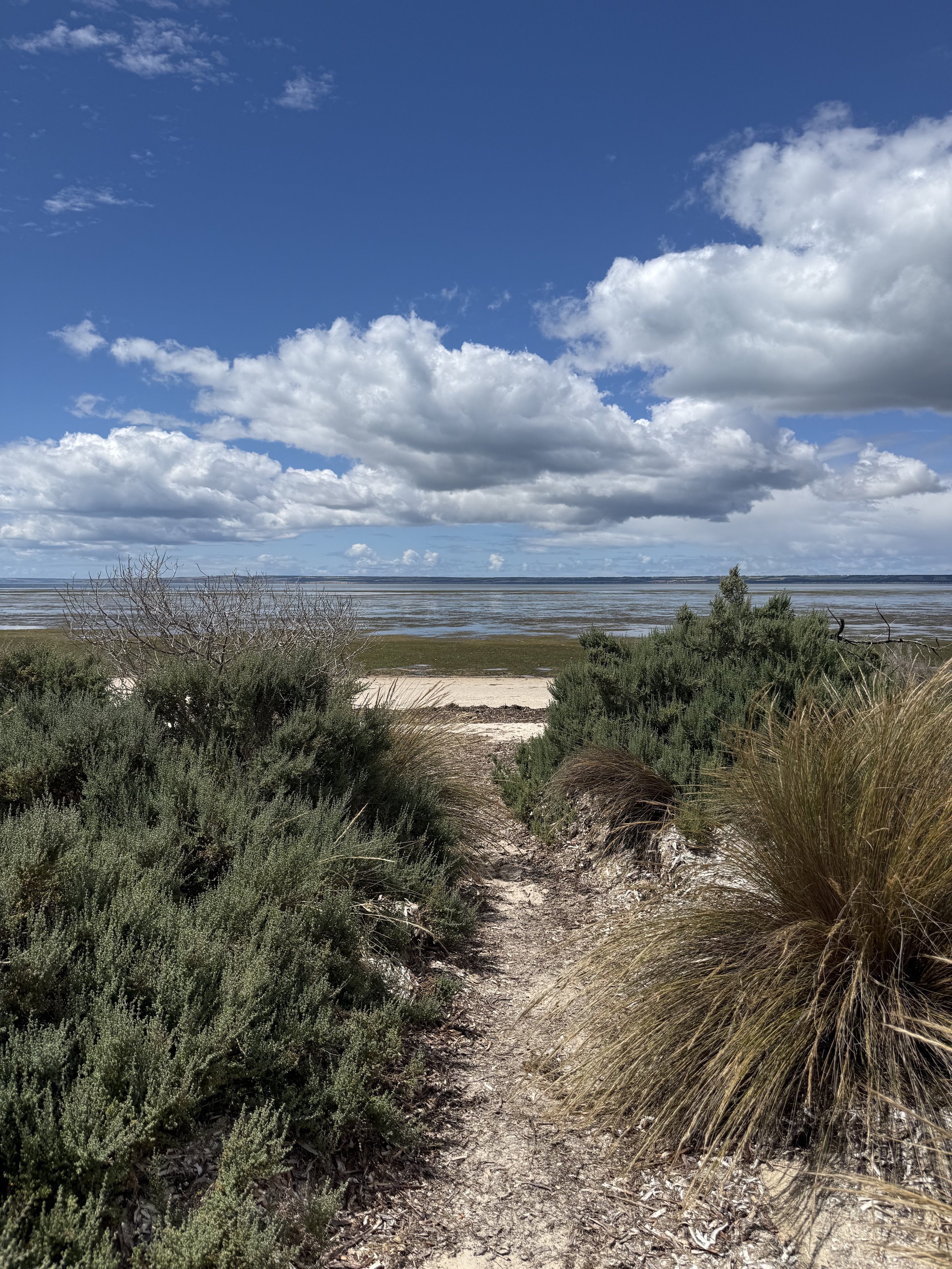 IMG_8832.jpg