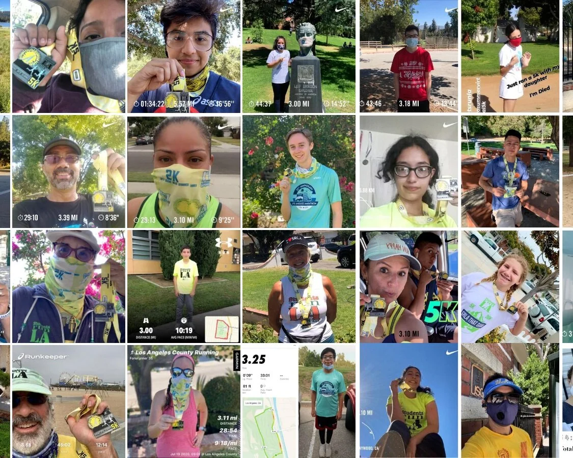 Why SRLA Matters in a Virtual World