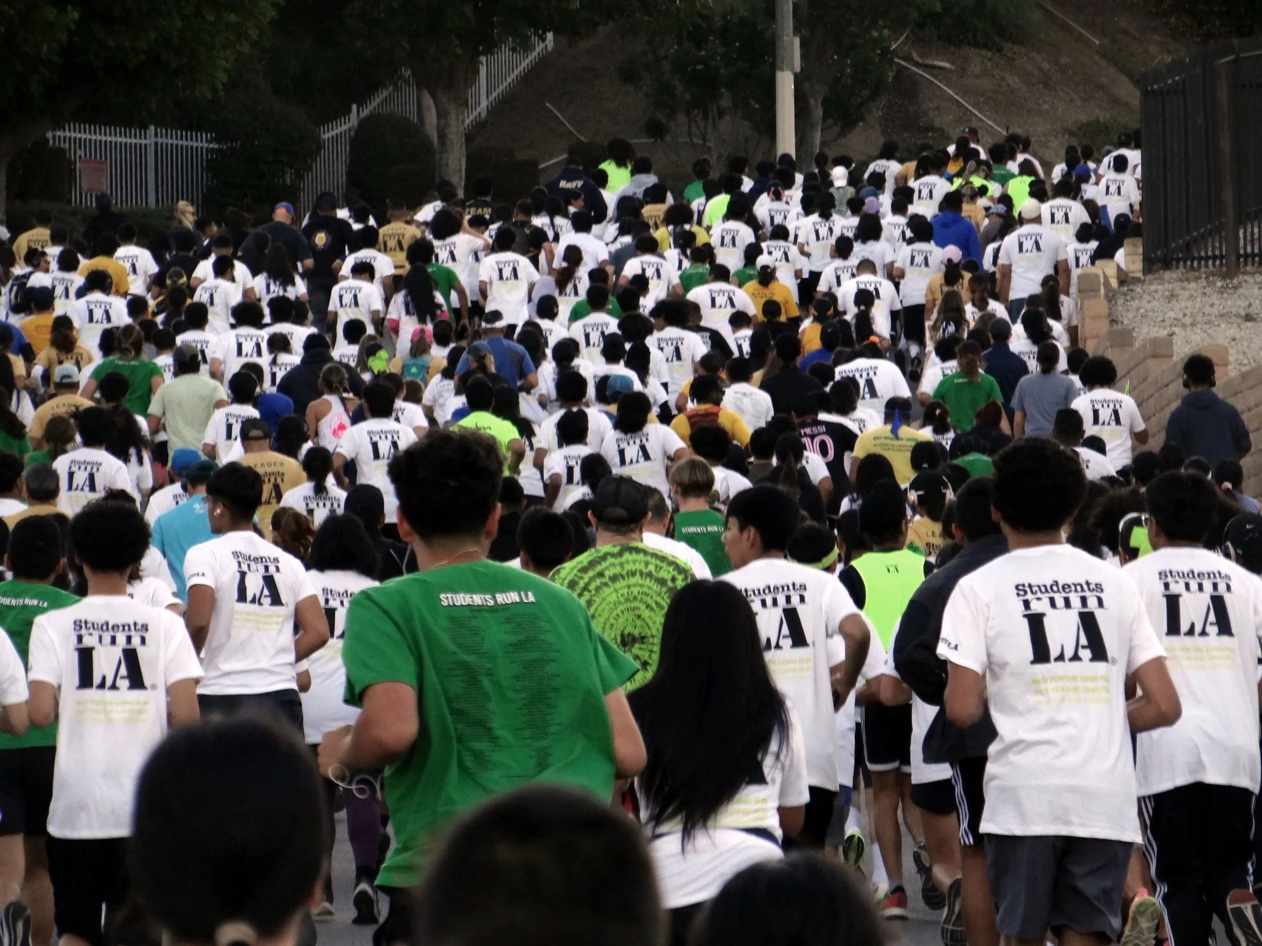 DSC08113.JPG