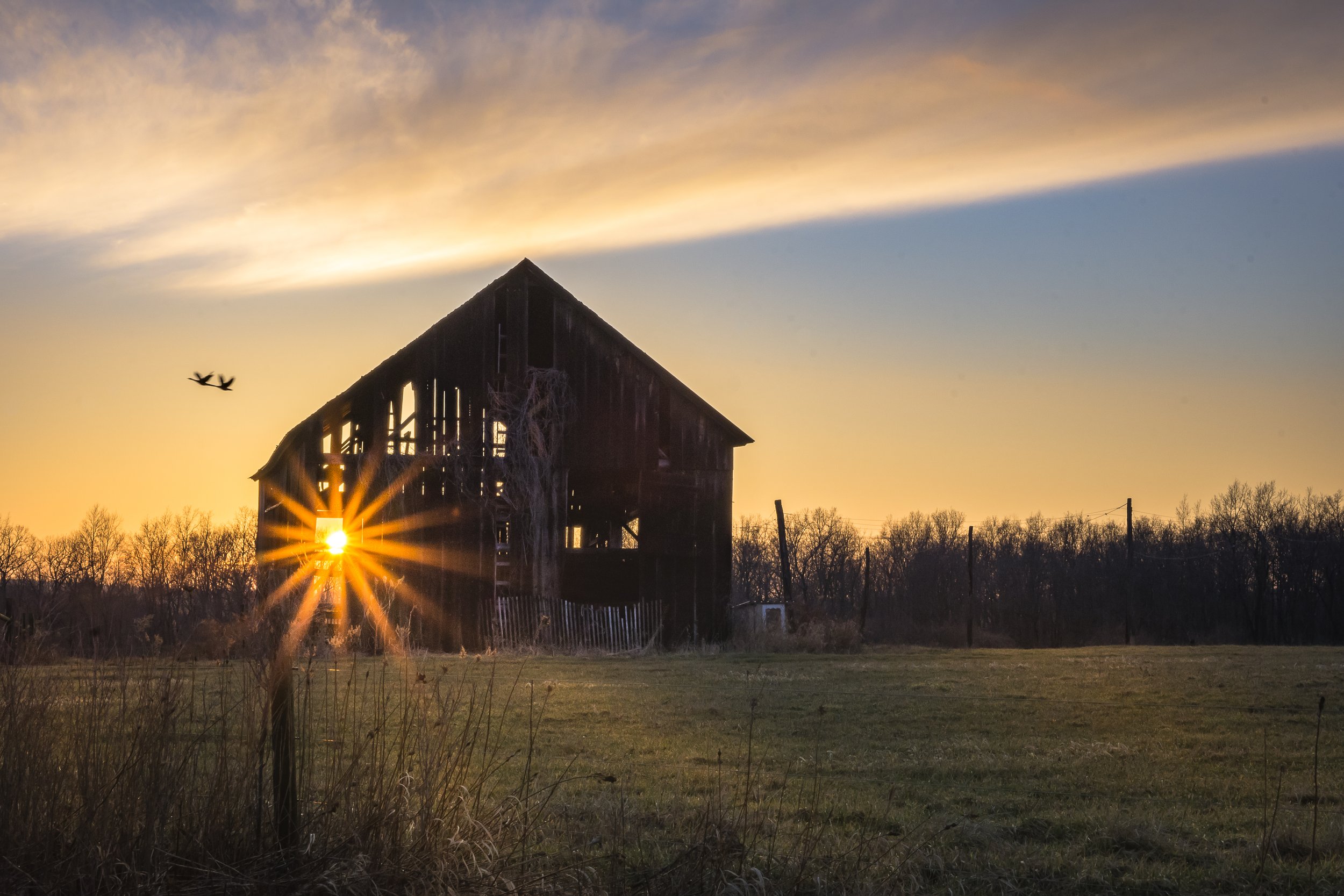 Perfect Timing - Hemlock NY