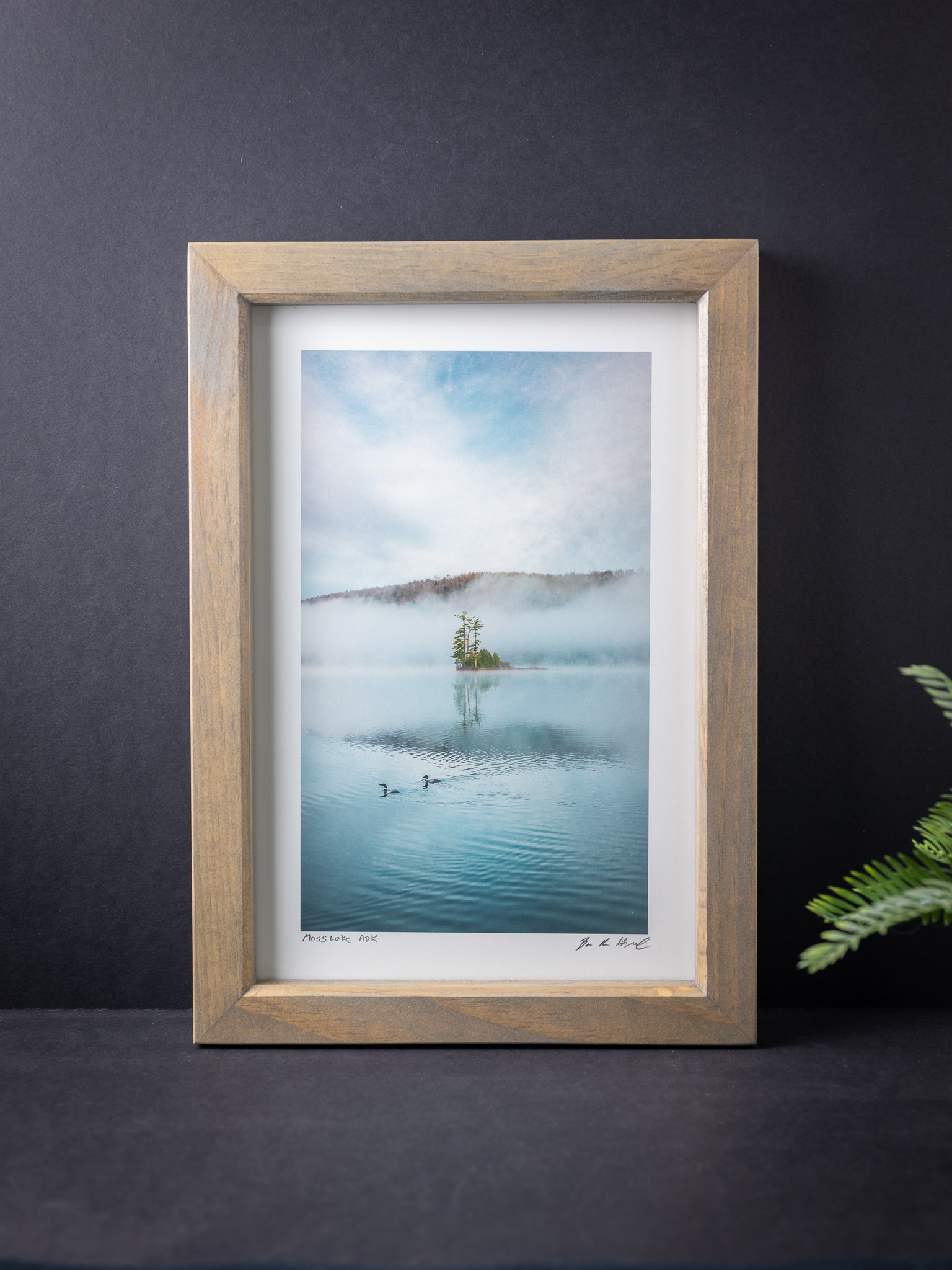 Loons in the fog Moss Lake NY