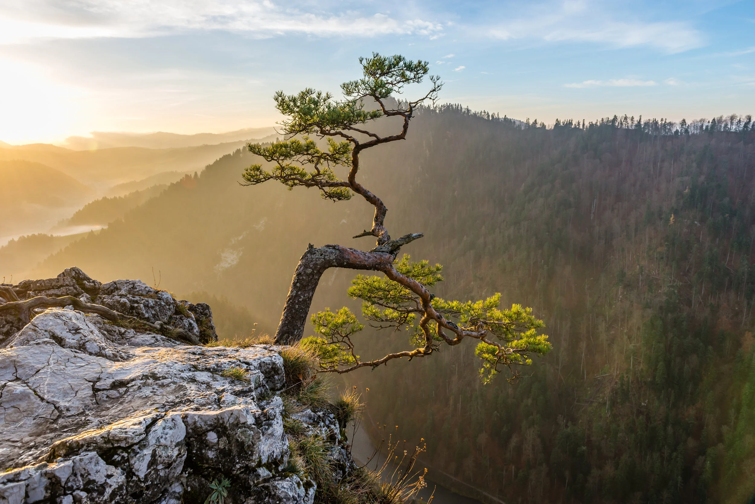 AdobeStock_73236563 (1).jpeg