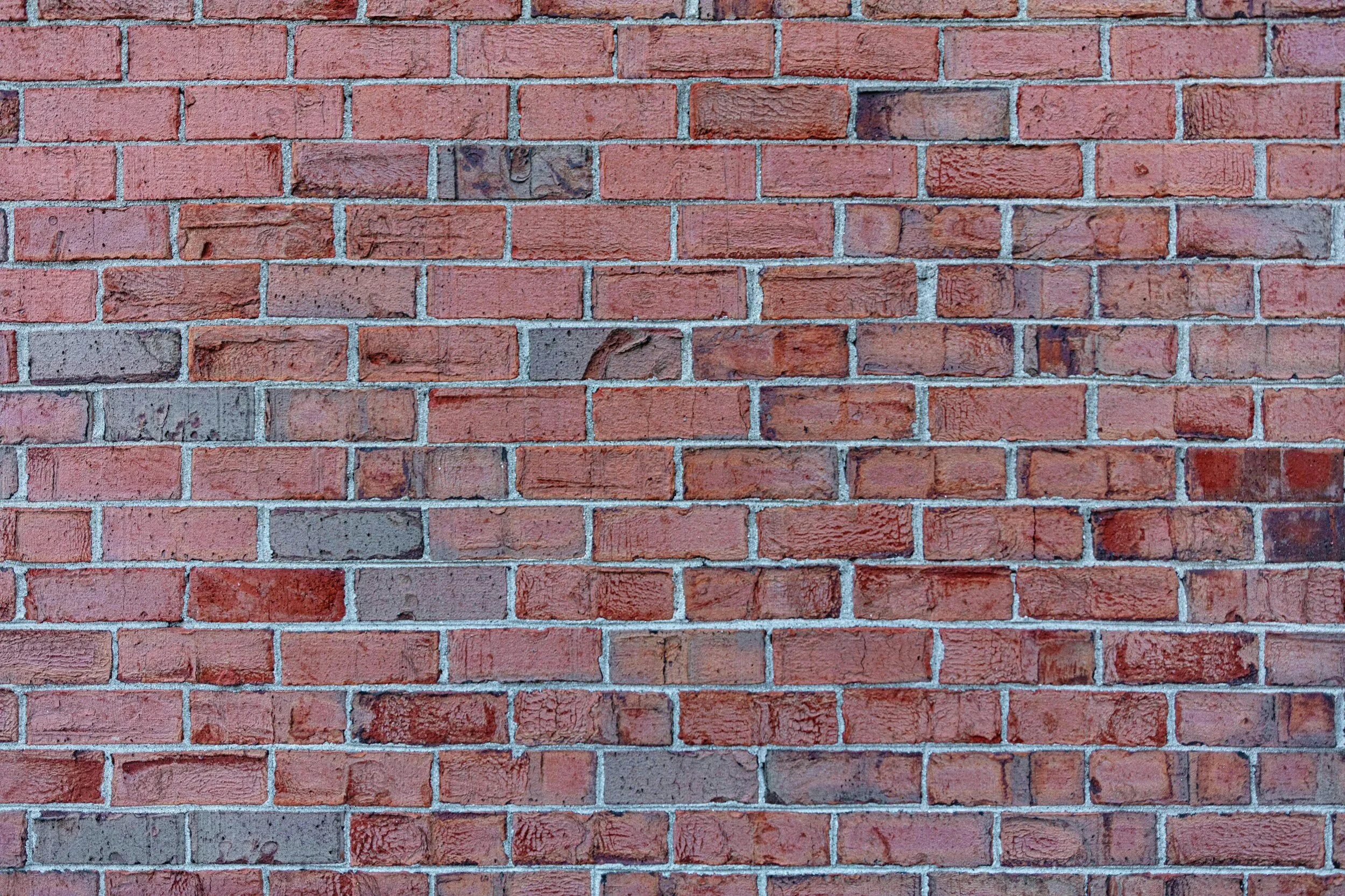 Building Foundations for Success: The Essential Goals of Our Training Program