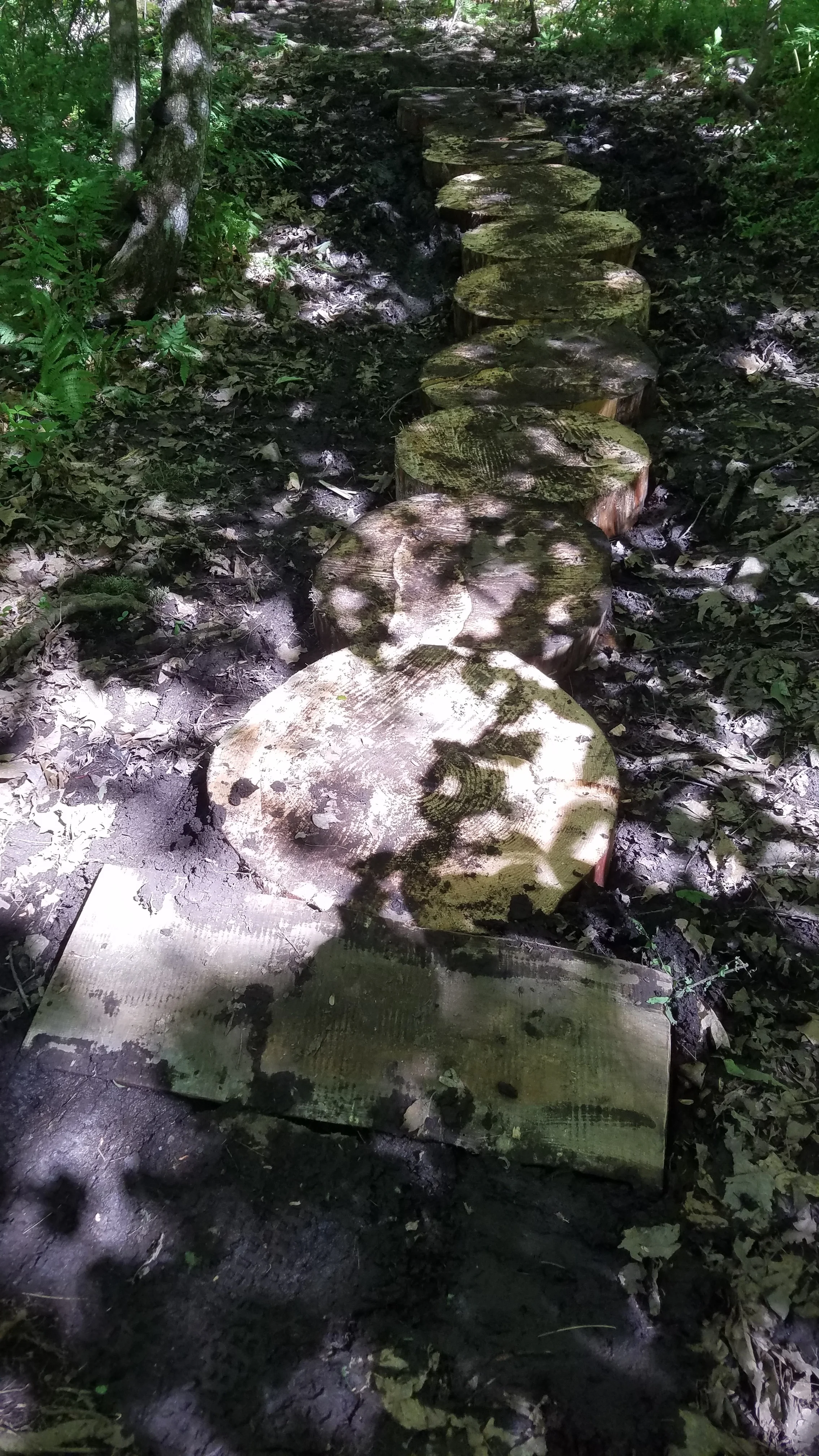 20190622_154622.jpg