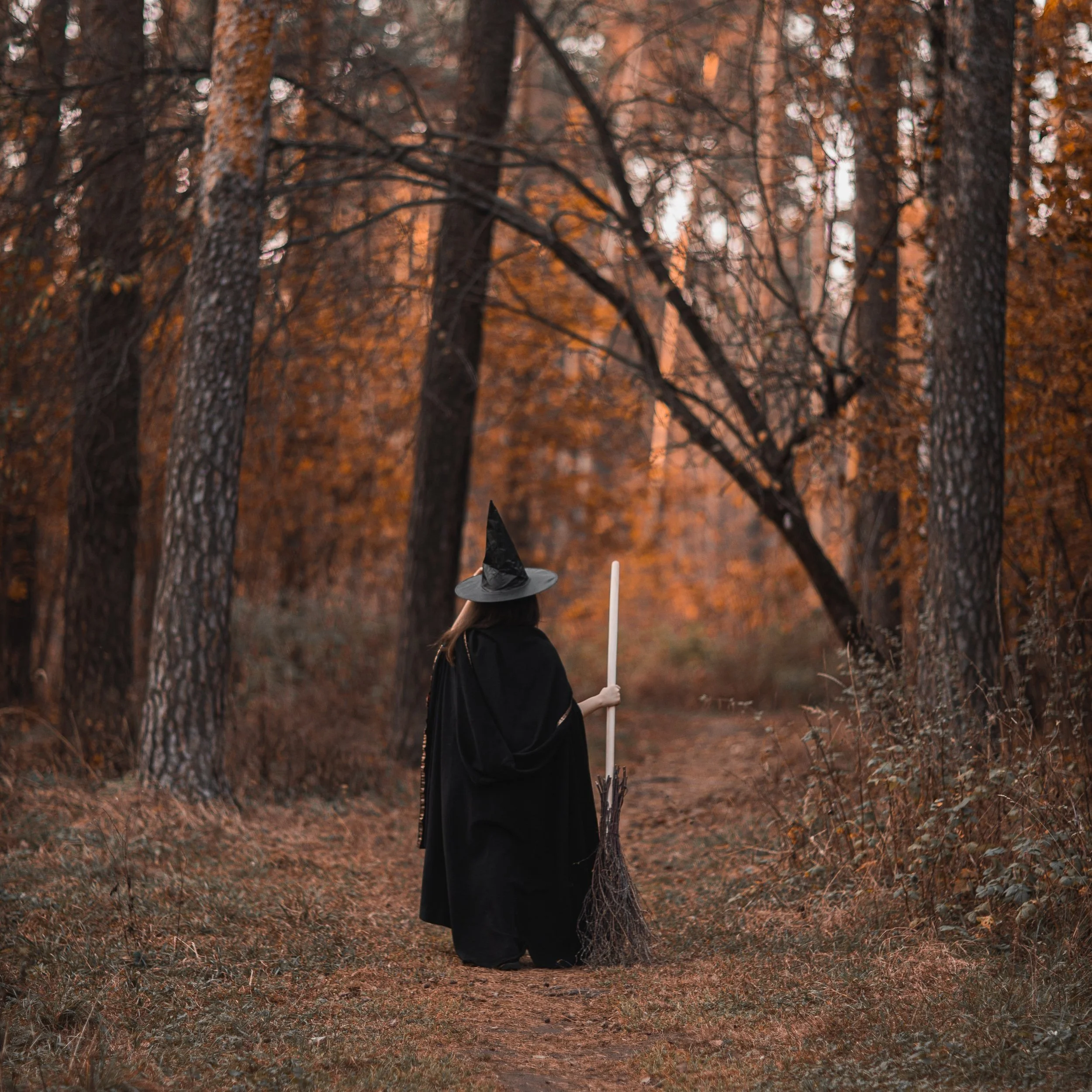 Wolfeboro Single Track Alliance to host Haunted Fun Ride/Walk