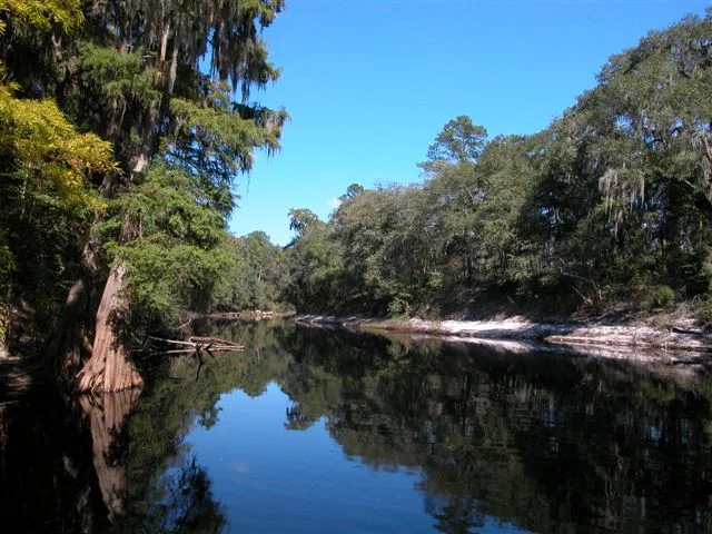 SuwanneeRiver.jpg